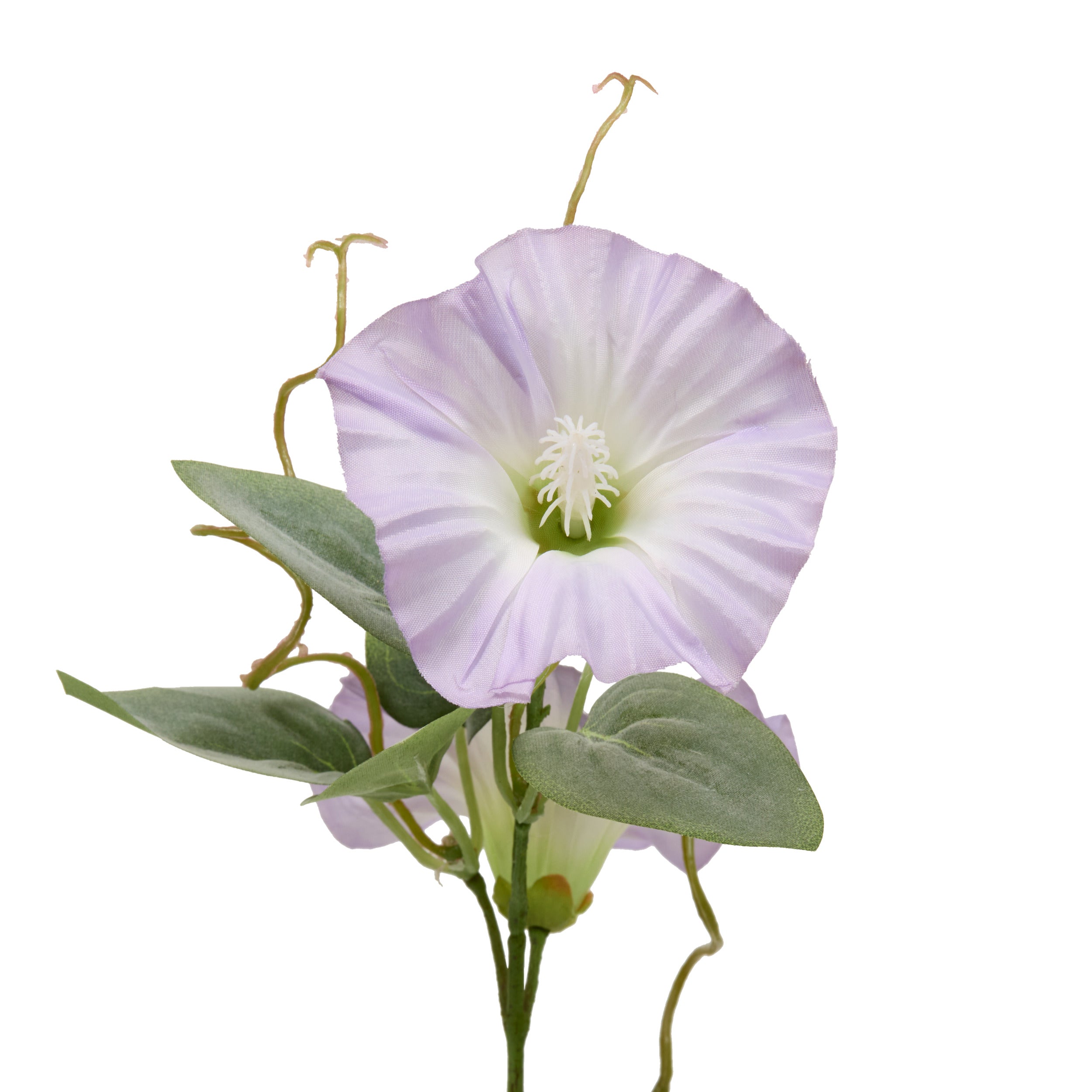 Floare decorativa, petunia stem phoebe H76 cm - Atmosphera