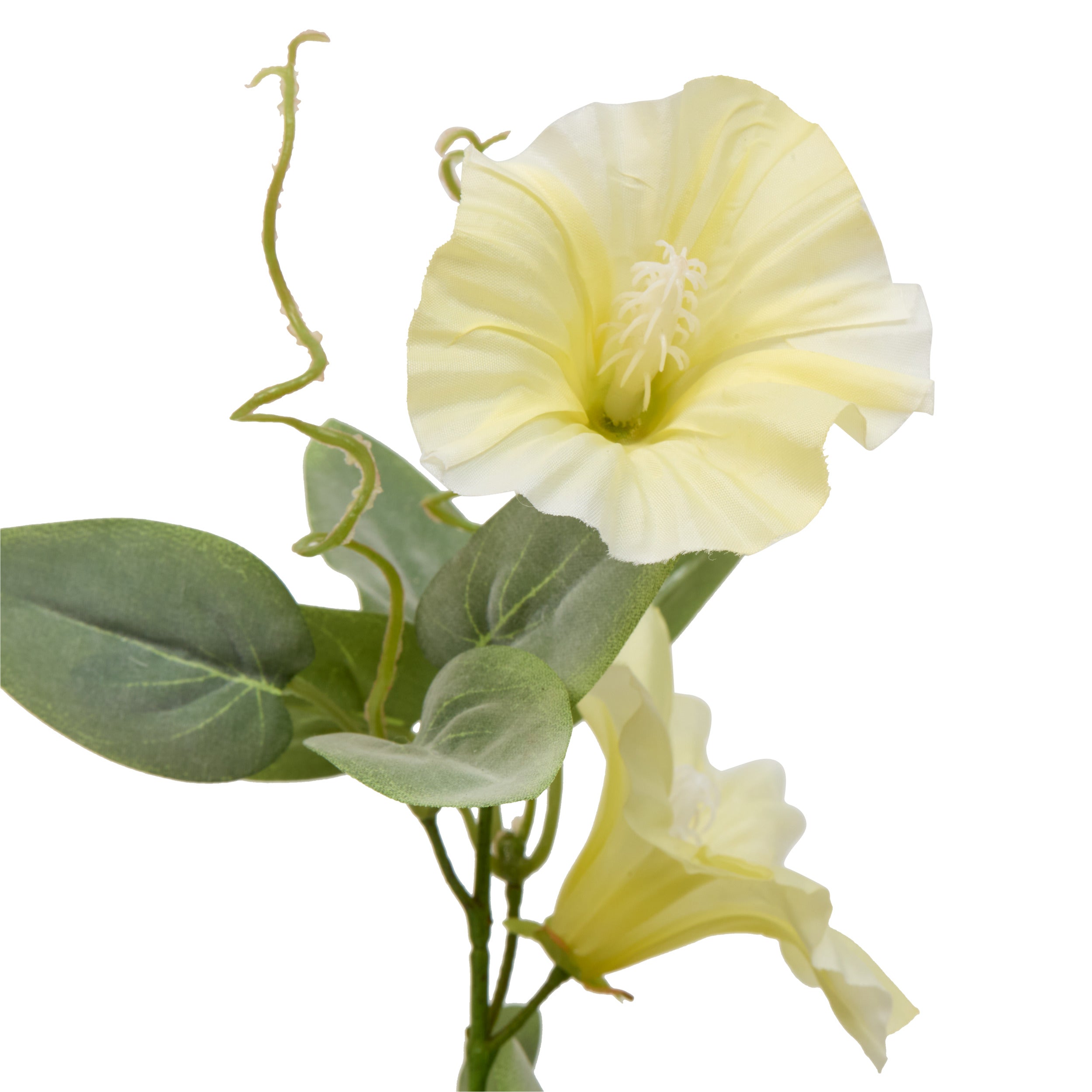 Floare decorativa, petunia stem phoebe H76 cm - Atmosphera