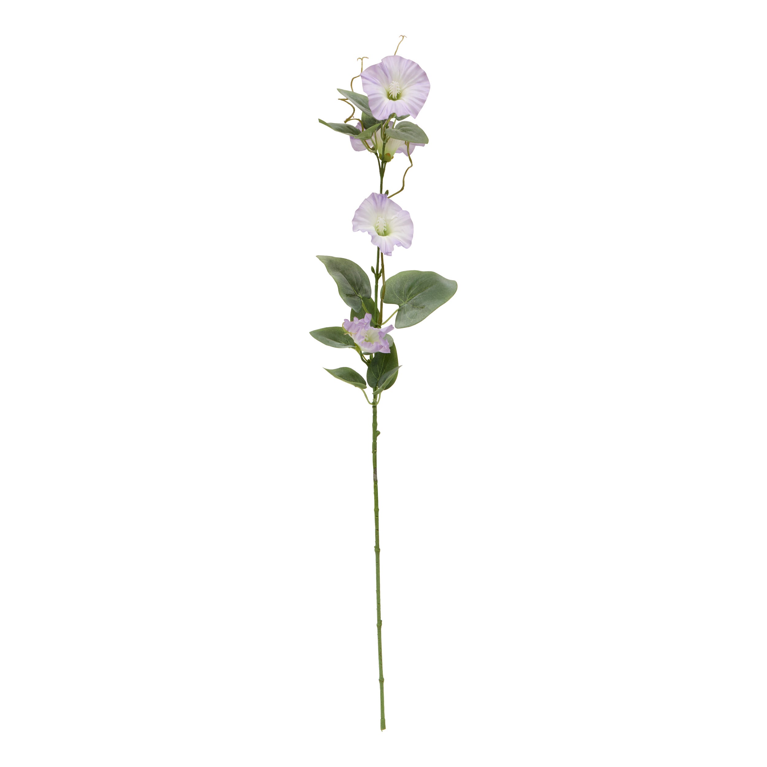 Floare decorativa, petunia stem phoebe H76 cm - Atmosphera