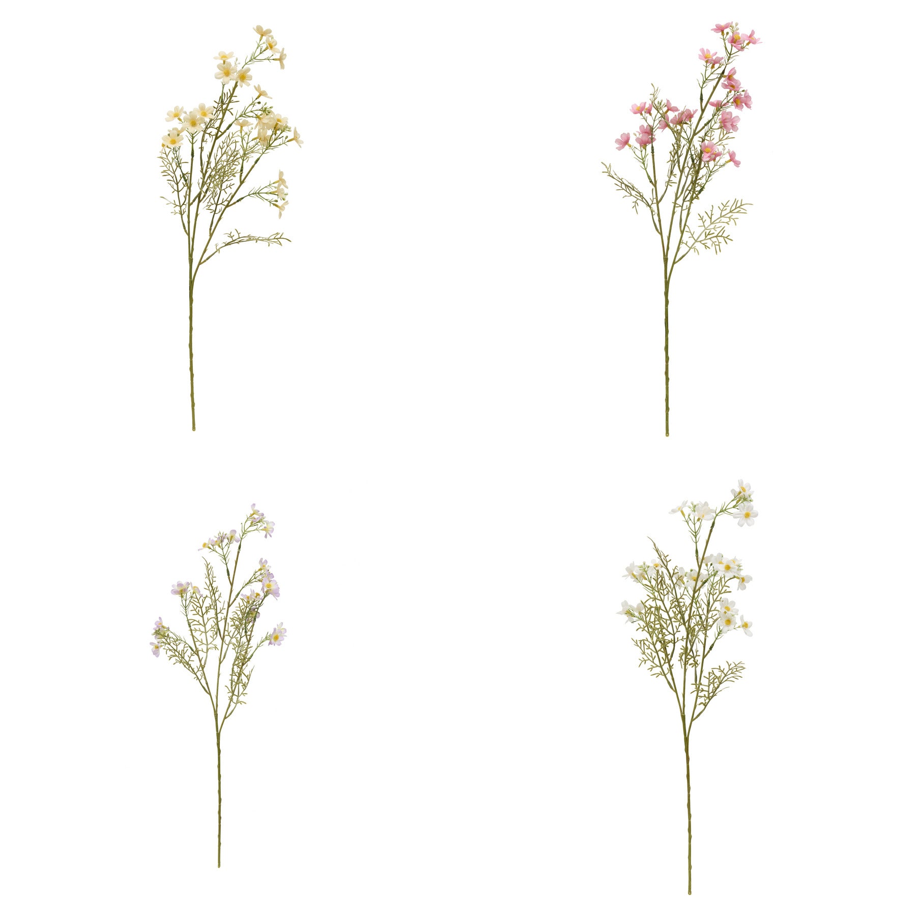 Floare decorativa, cosmos stem phoebe H62 cm - Atmosphera