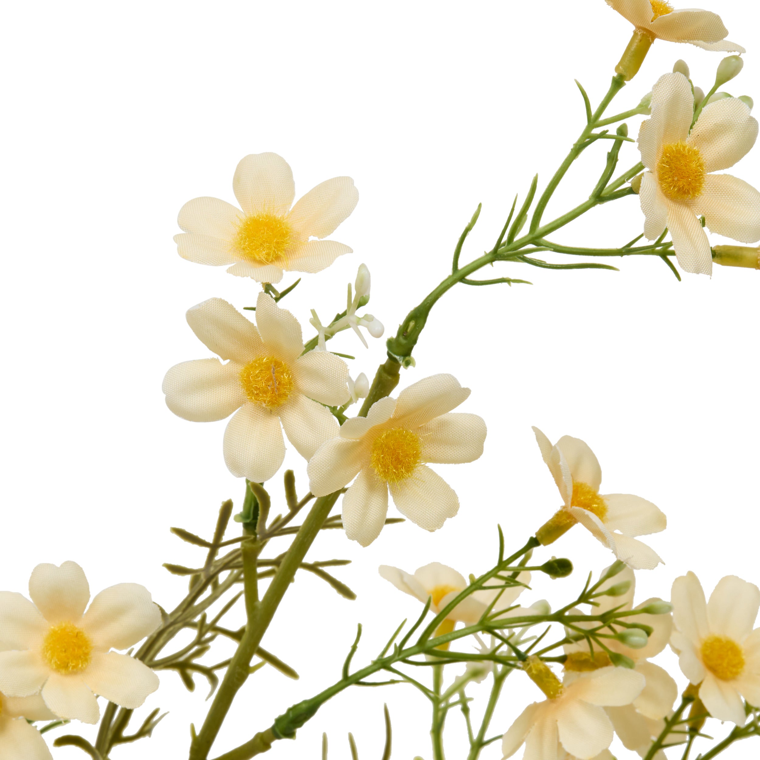Floare decorativa, cosmos stem phoebe H62 cm - Atmosphera