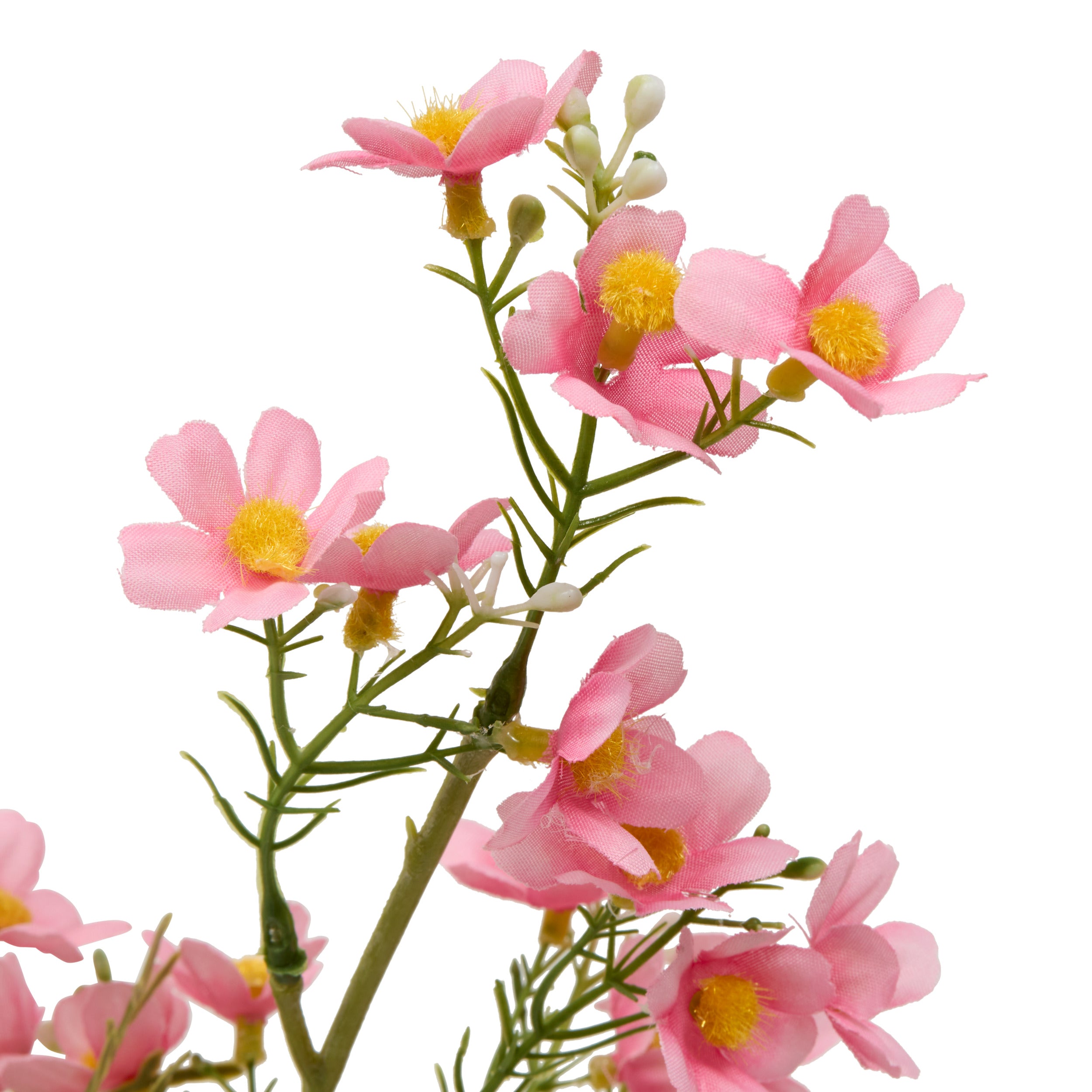 Floare decorativa, cosmos stem phoebe H62 cm - Atmosphera