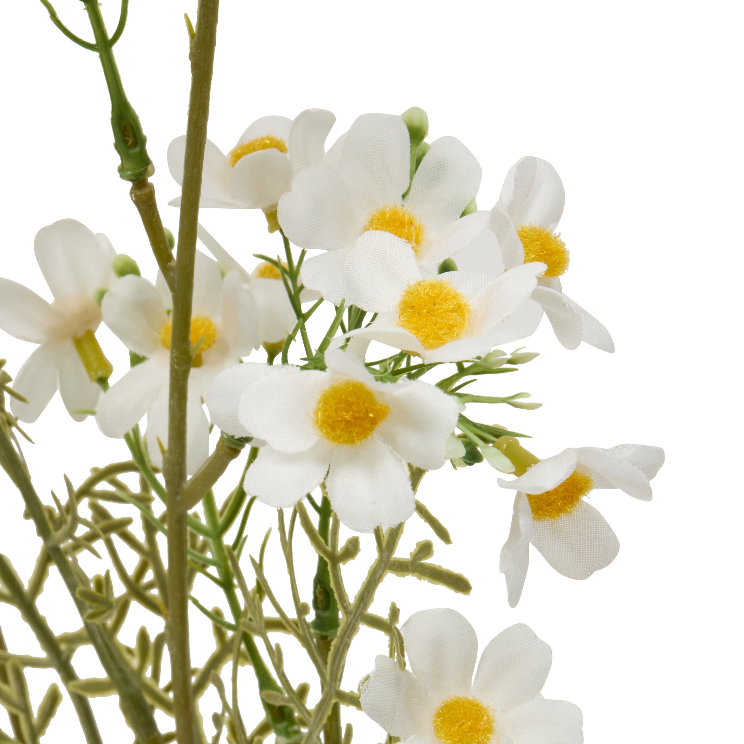 Floare decorativa, cosmos stem phoebe H62 cm - Atmosphera
