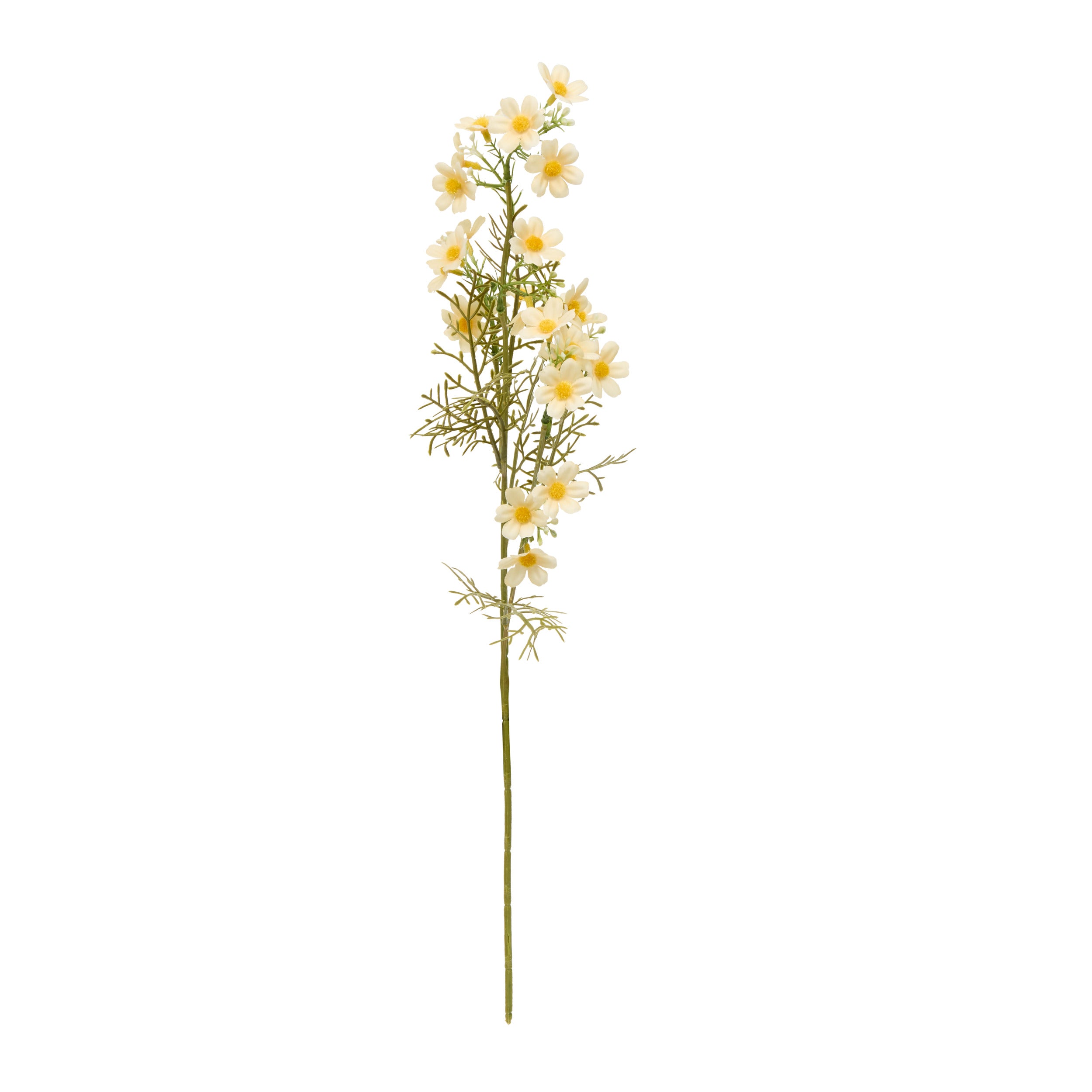 Floare decorativa, cosmos stem phoebe H62 cm - Atmosphera