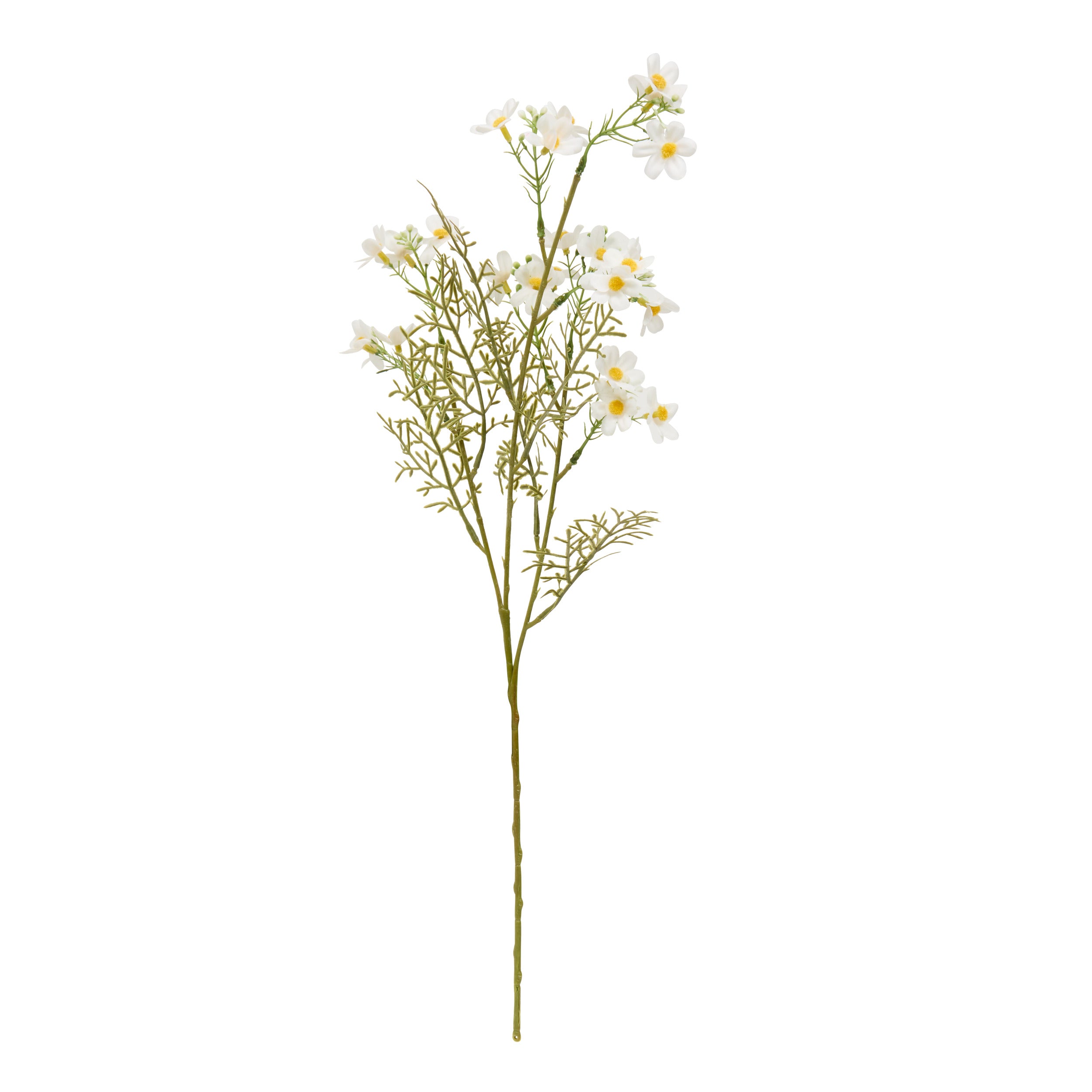 Floare decorativa, cosmos stem phoebe H62 cm - Atmosphera