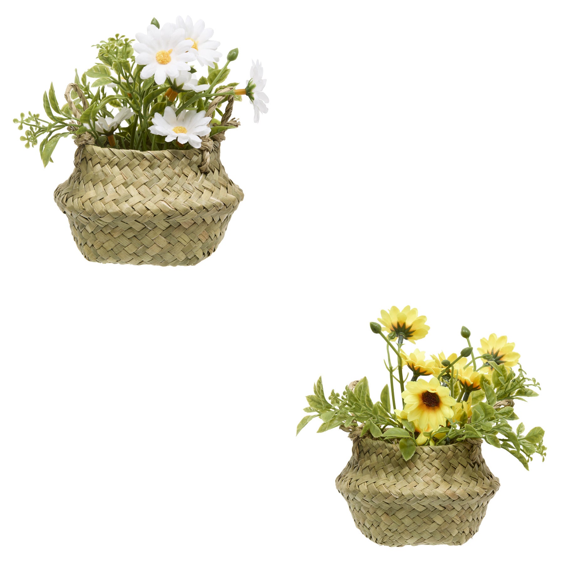 Floare decorativa, daisy basket compo tifi H20 cm - Atmosphera