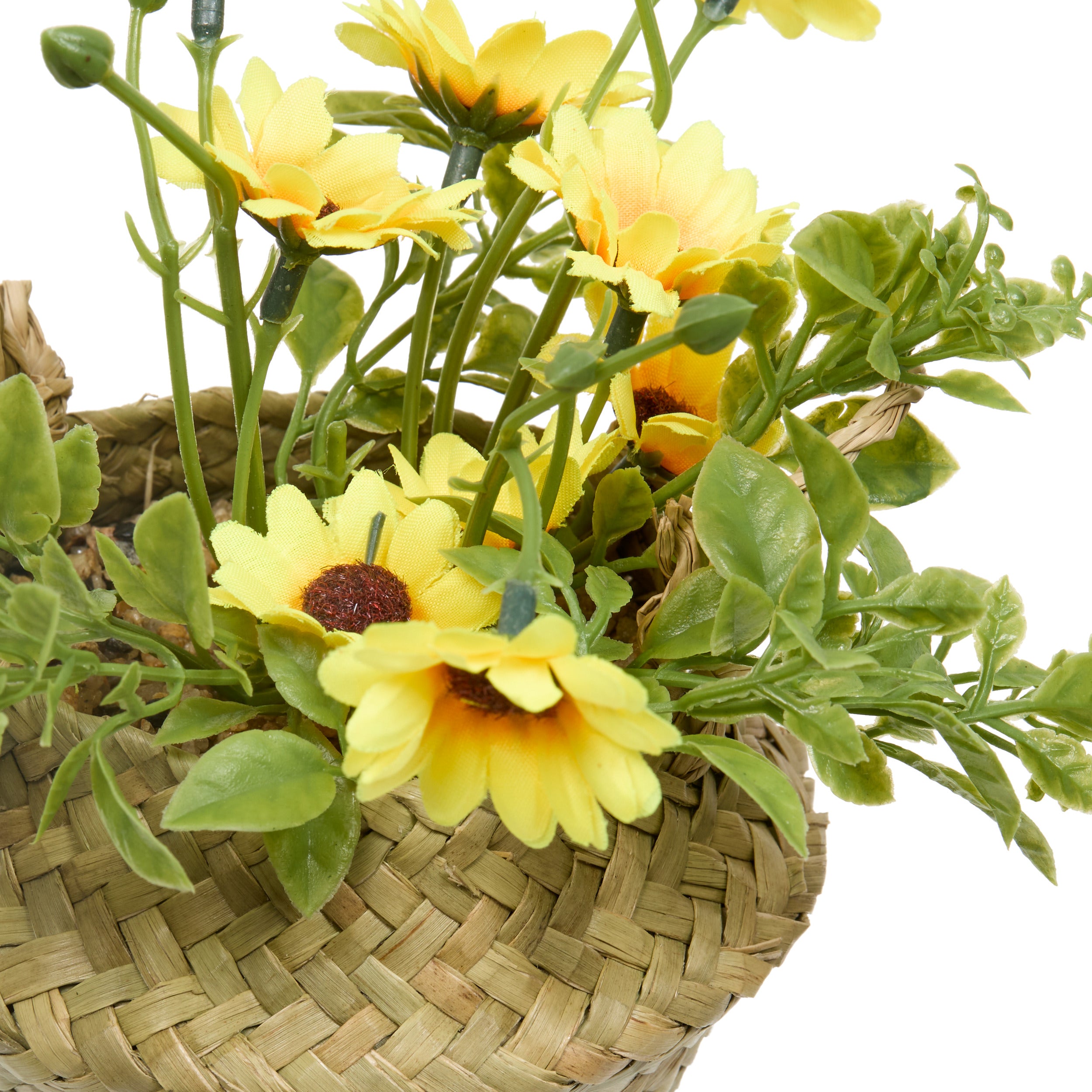 Floare decorativa, daisy basket compo tifi H20 cm - Atmosphera