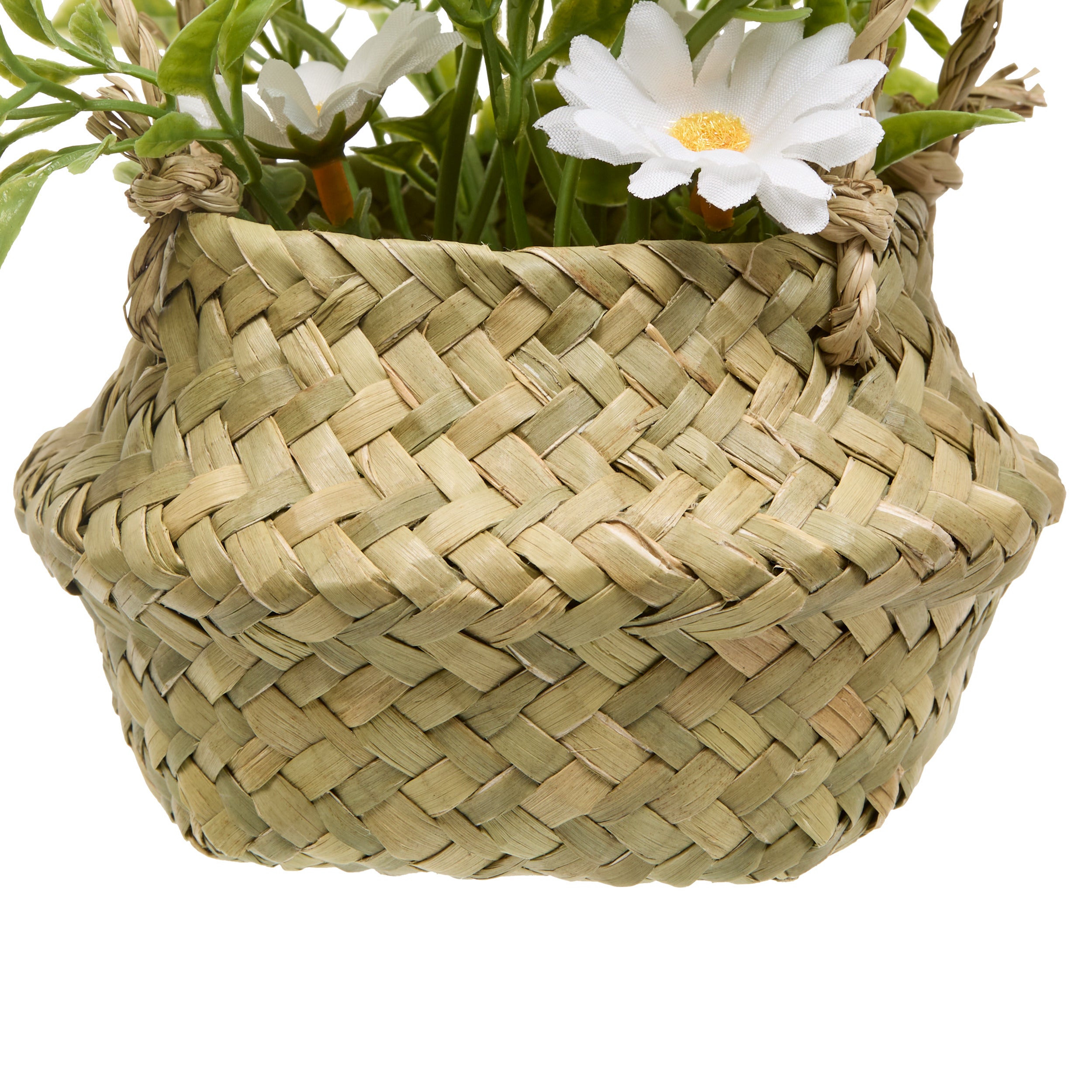 Floare decorativa, daisy basket compo tifi H20 cm - Atmosphera