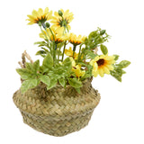 Floare decorativa, daisy basket compo tifi H20 cm - Atmosphera