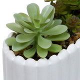Floare decorativa, cem planter wida H12 cm - Atmosphera
