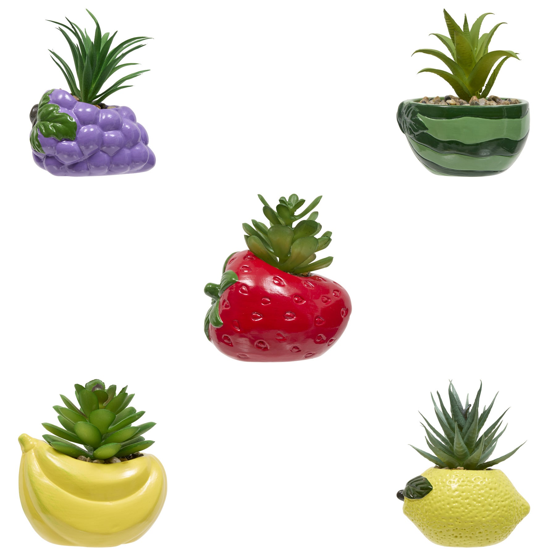 Floare decorativa, plant fruity H11h10h9dis - Atmosphera