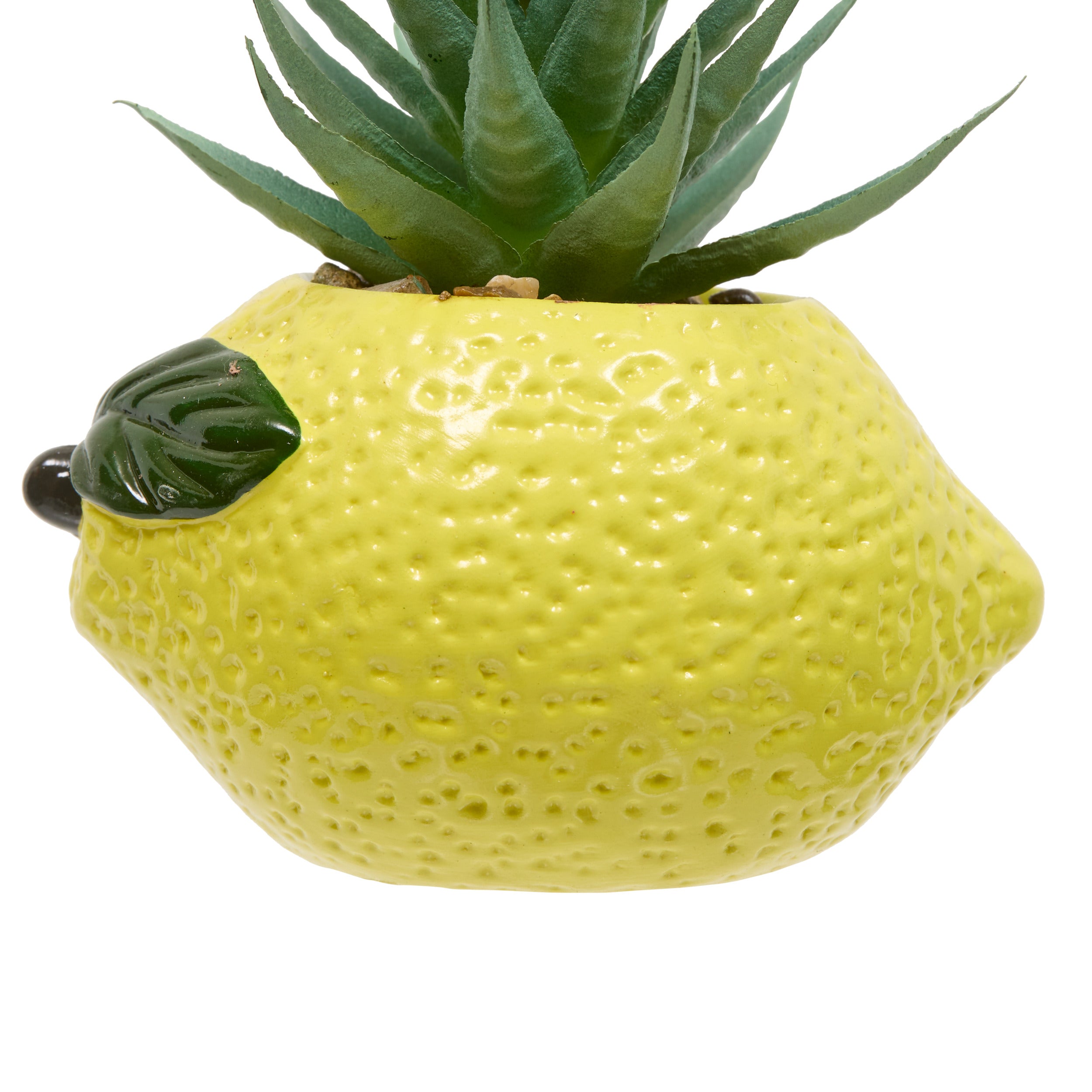 Floare decorativa, plant fruity H11h10h9dis - Atmosphera