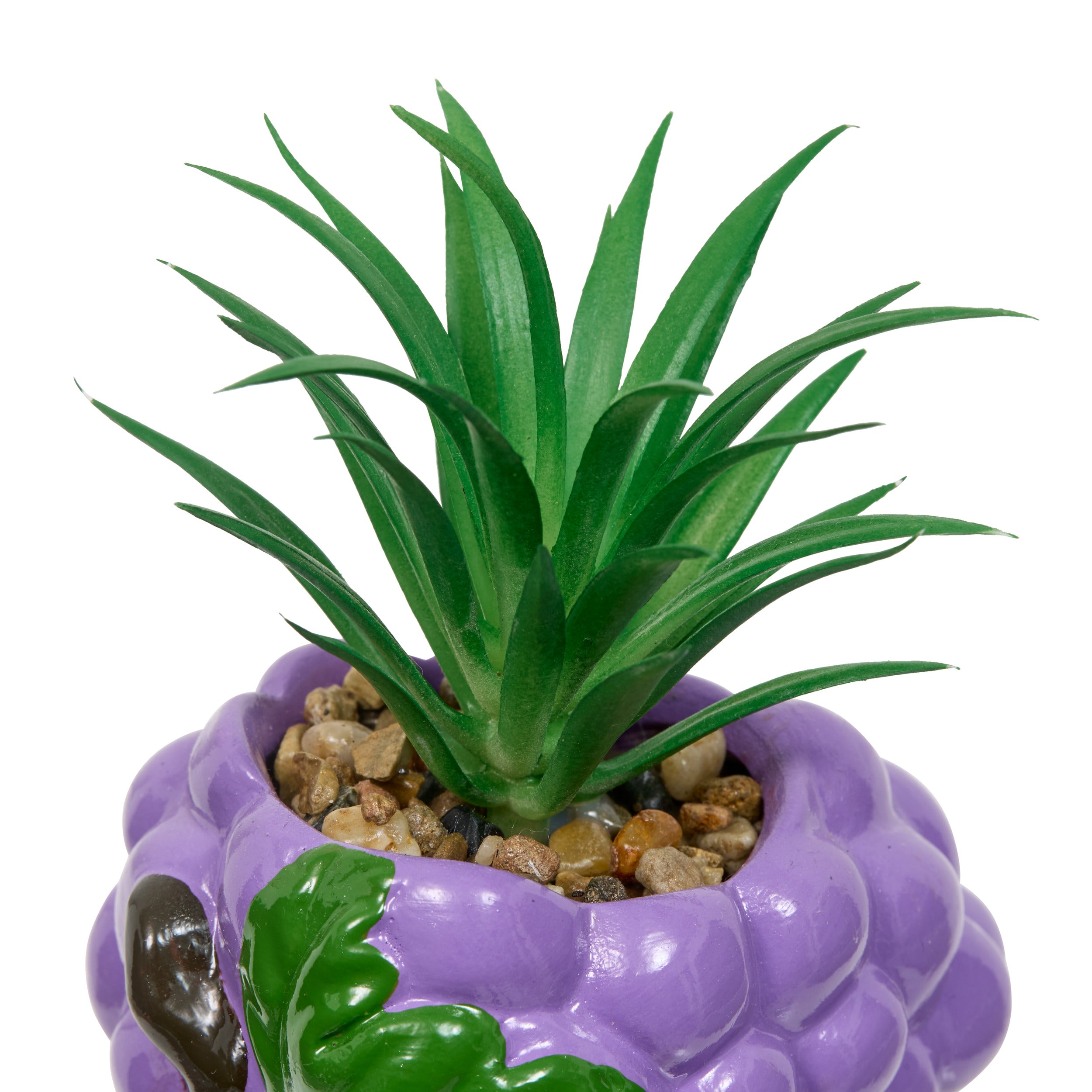 Floare decorativa, plant fruity H11h10h9dis - Atmosphera