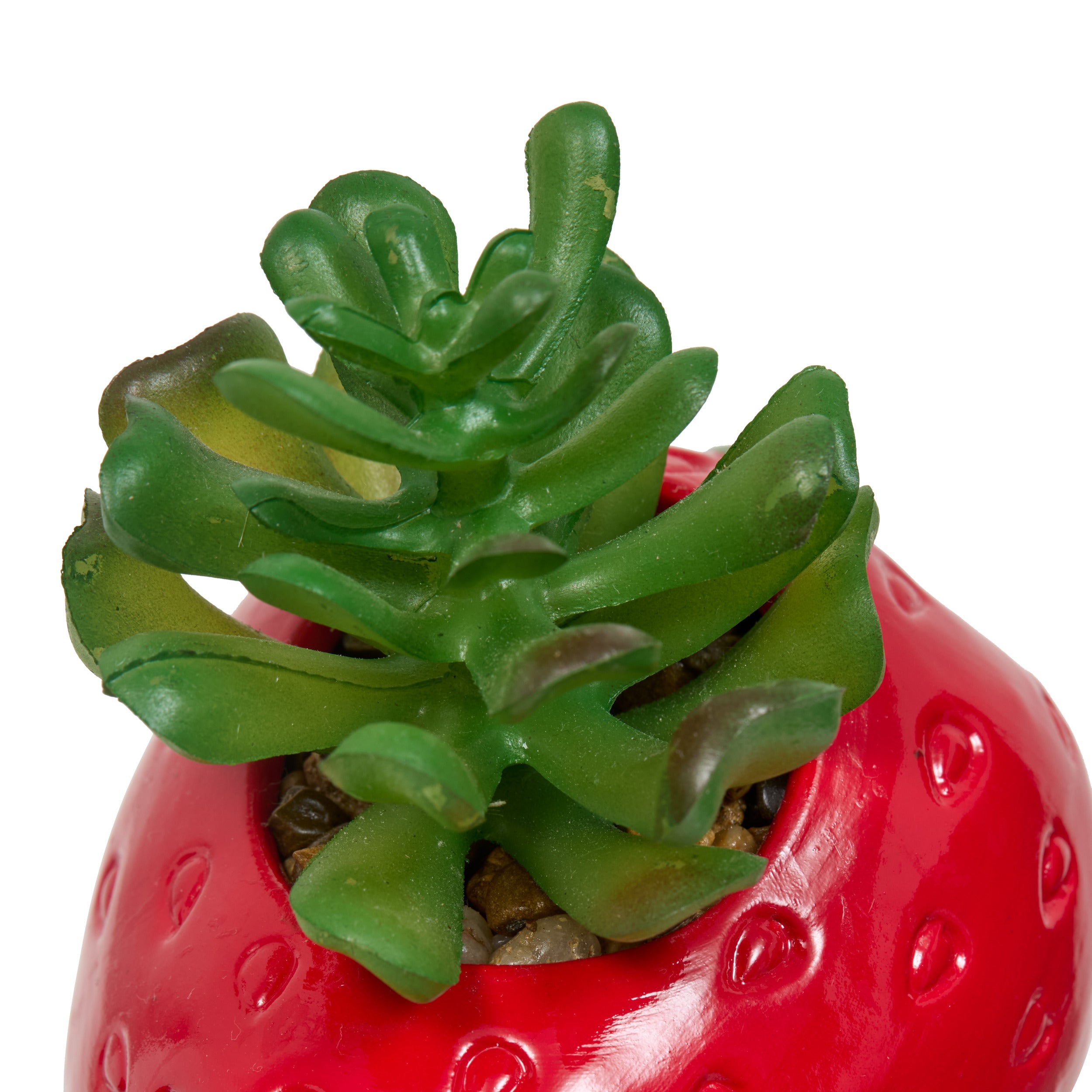 Floare decorativa, plant fruity H11h10h9dis - Atmosphera