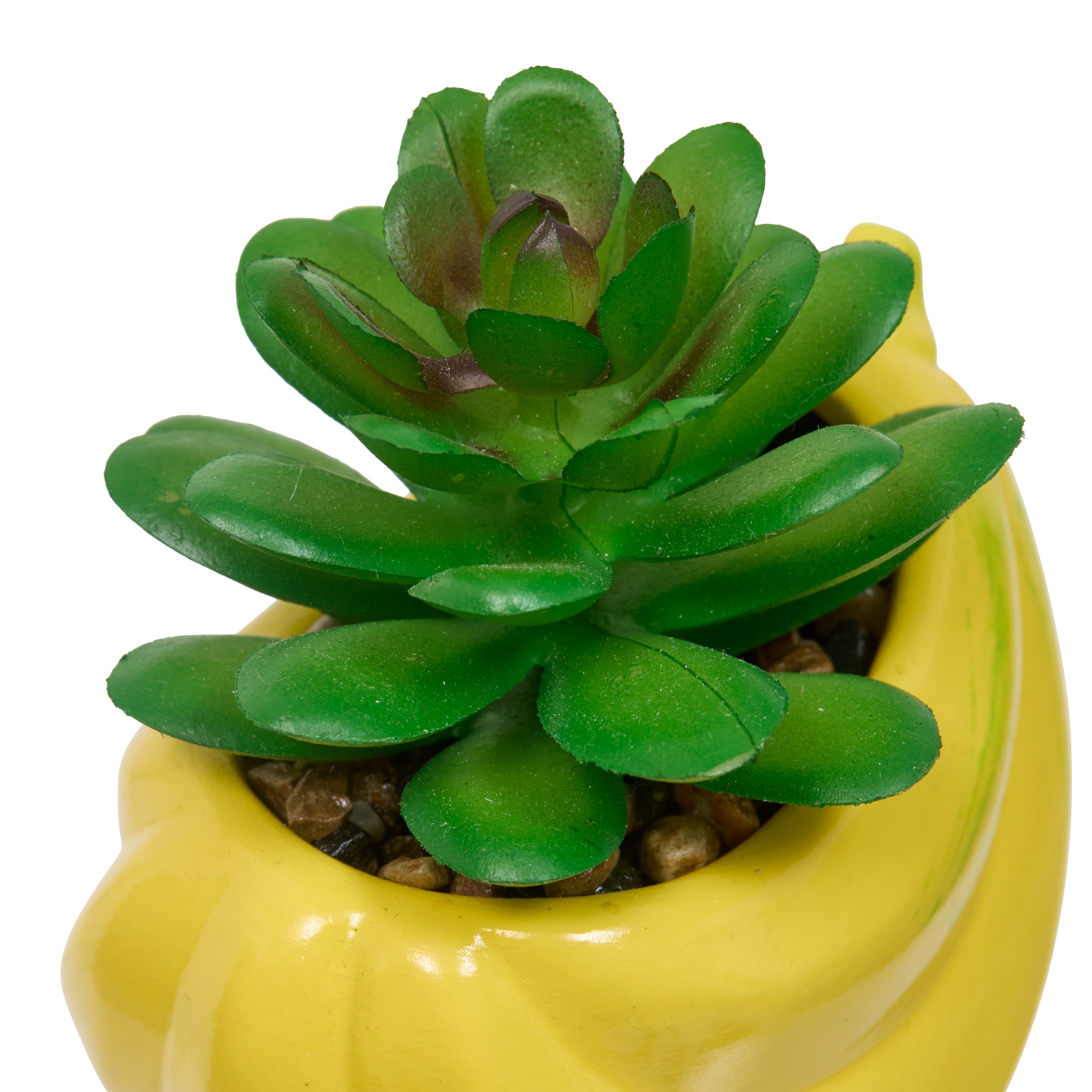 Floare decorativa, plant fruity H11h10h9dis - Atmosphera