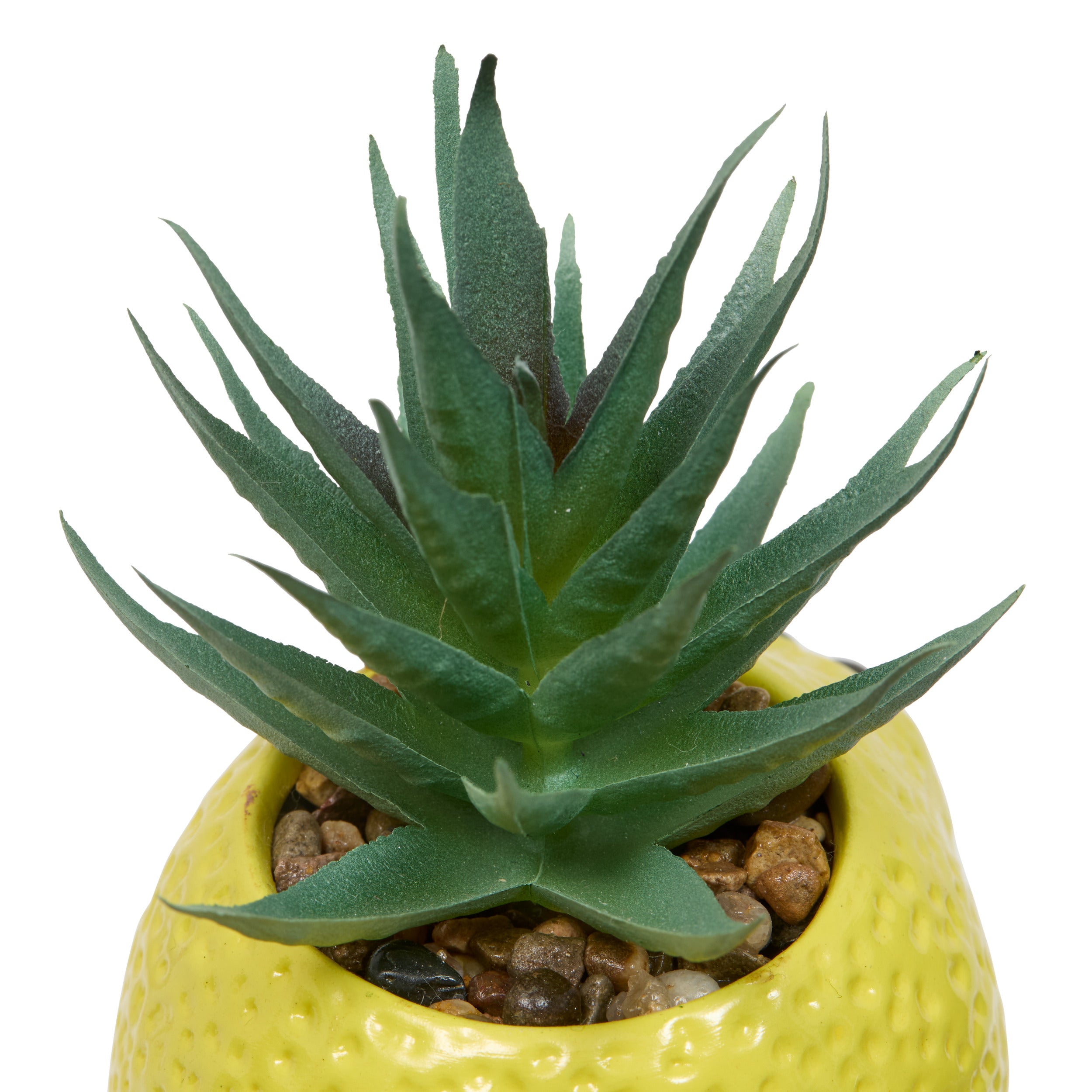 Floare decorativa, plant fruity H11h10h9dis - Atmosphera