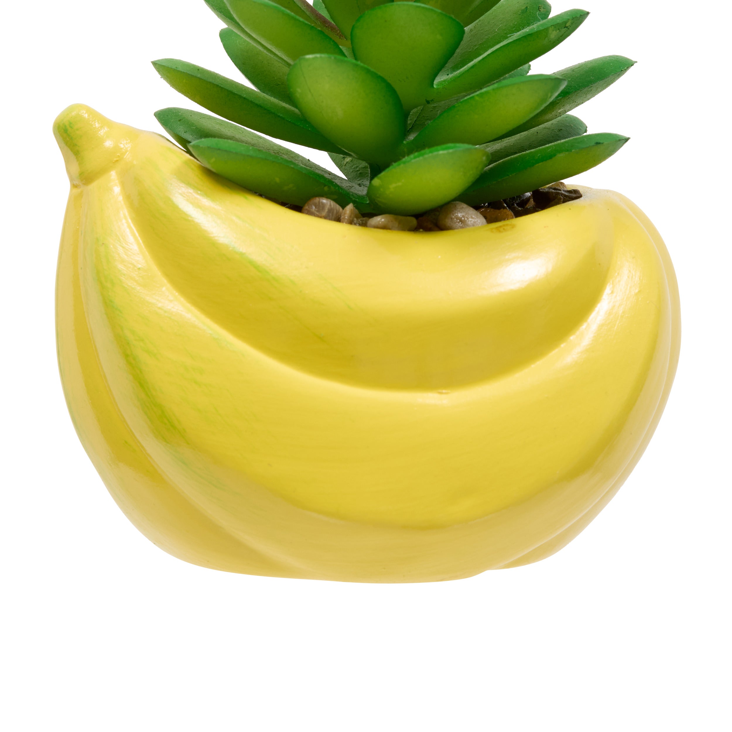 Floare decorativa, plant fruity H11h10h9dis - Atmosphera