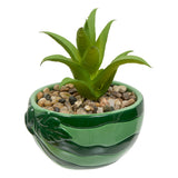Floare decorativa, plant fruity H11h10h9dis - Atmosphera