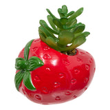 Floare decorativa, plant fruity H11h10h9dis - Atmosphera