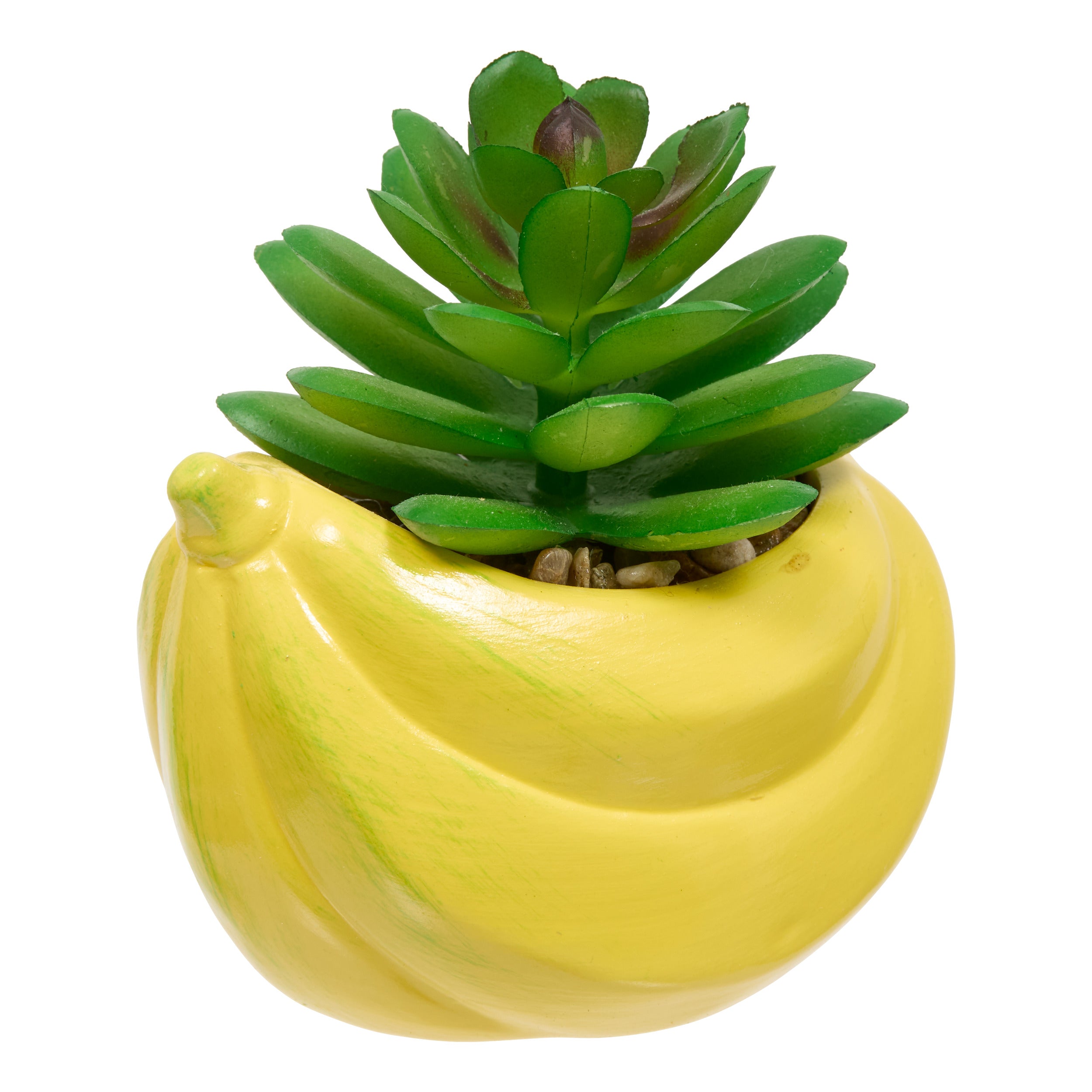 Floare decorativa, plant fruity H11h10h9dis - Atmosphera