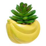 Floare decorativa, plant fruity H11h10h9dis - Atmosphera