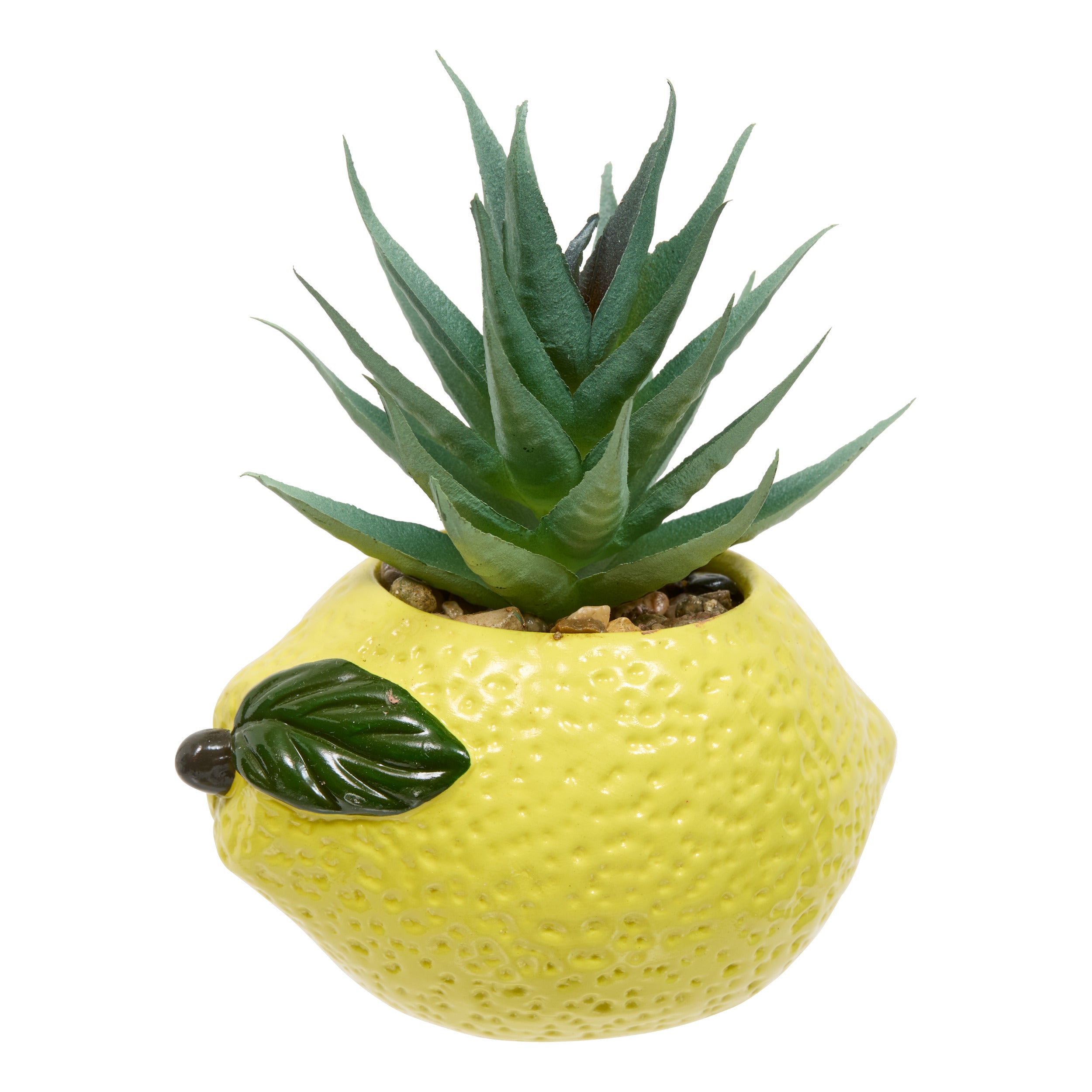 Floare decorativa, plant fruity H11h10h9dis - Atmosphera