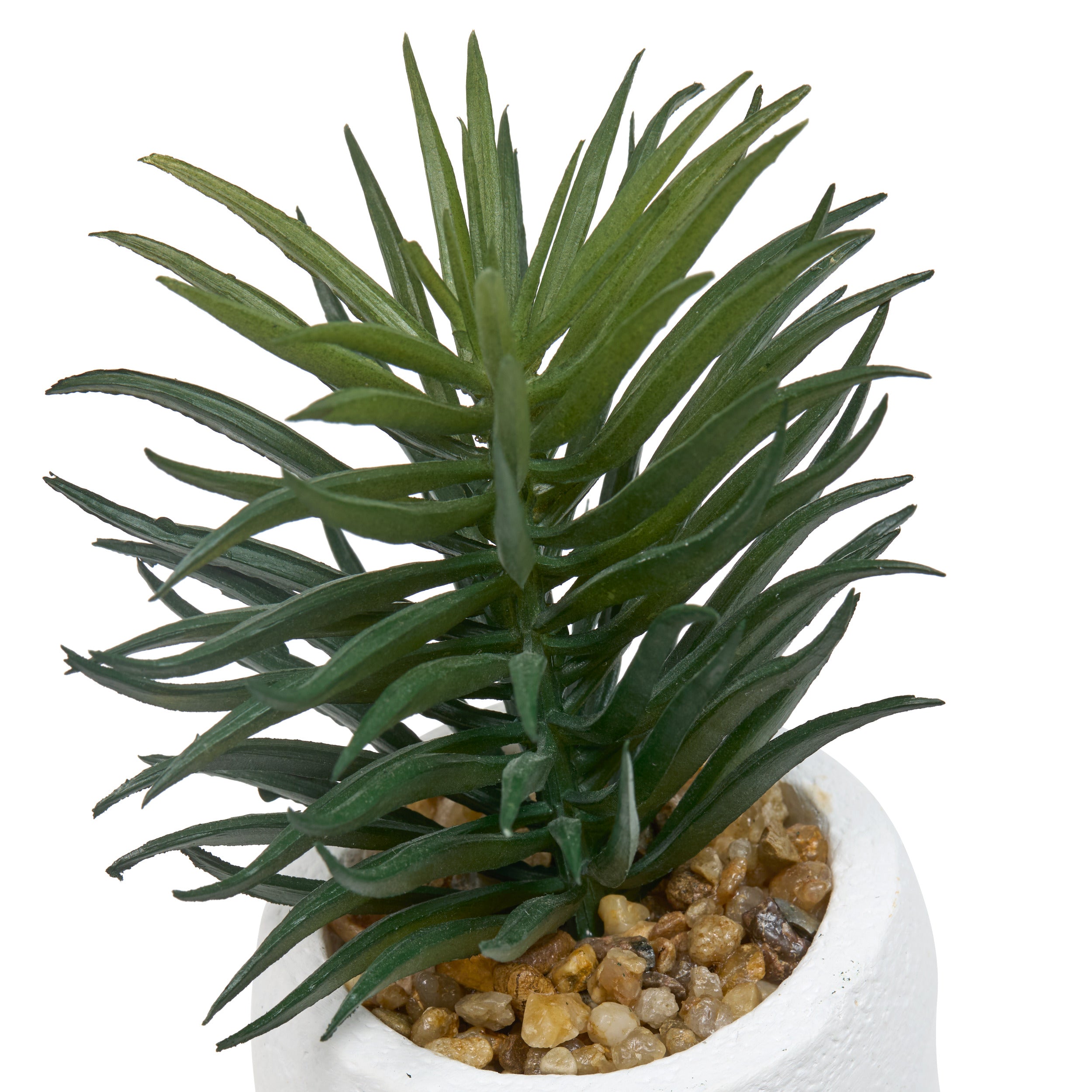 Floare decorativa, succulent face teri H13 cm - Atmosphera