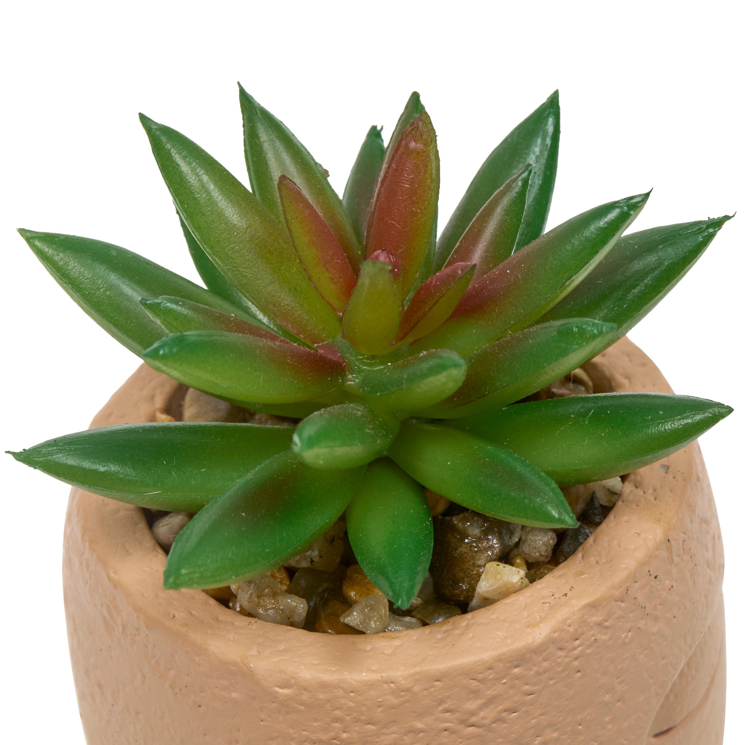 Floare decorativa, succulent face teri H13 cm - Atmosphera