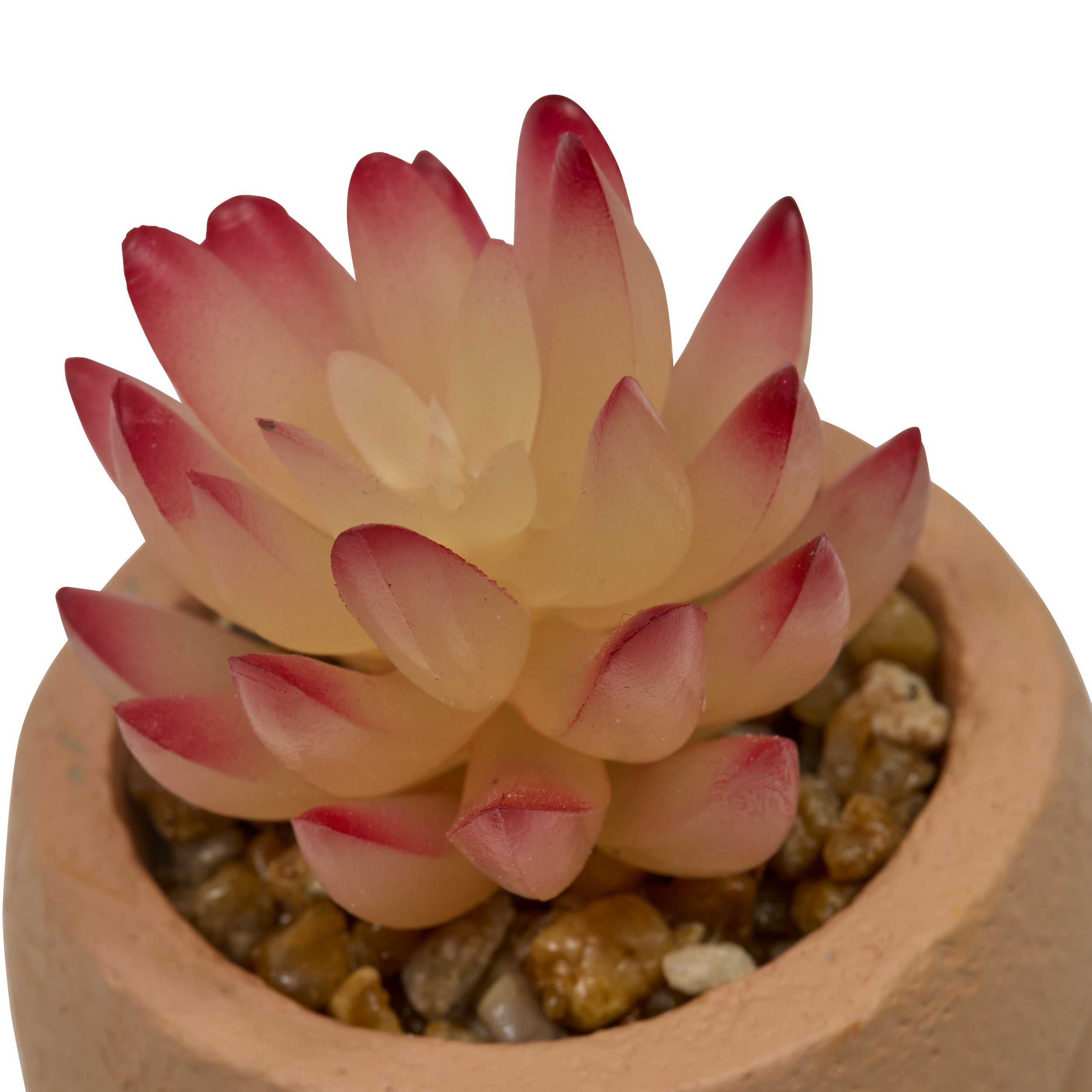 Floare decorativa, succulent face teri H13 cm - Atmosphera