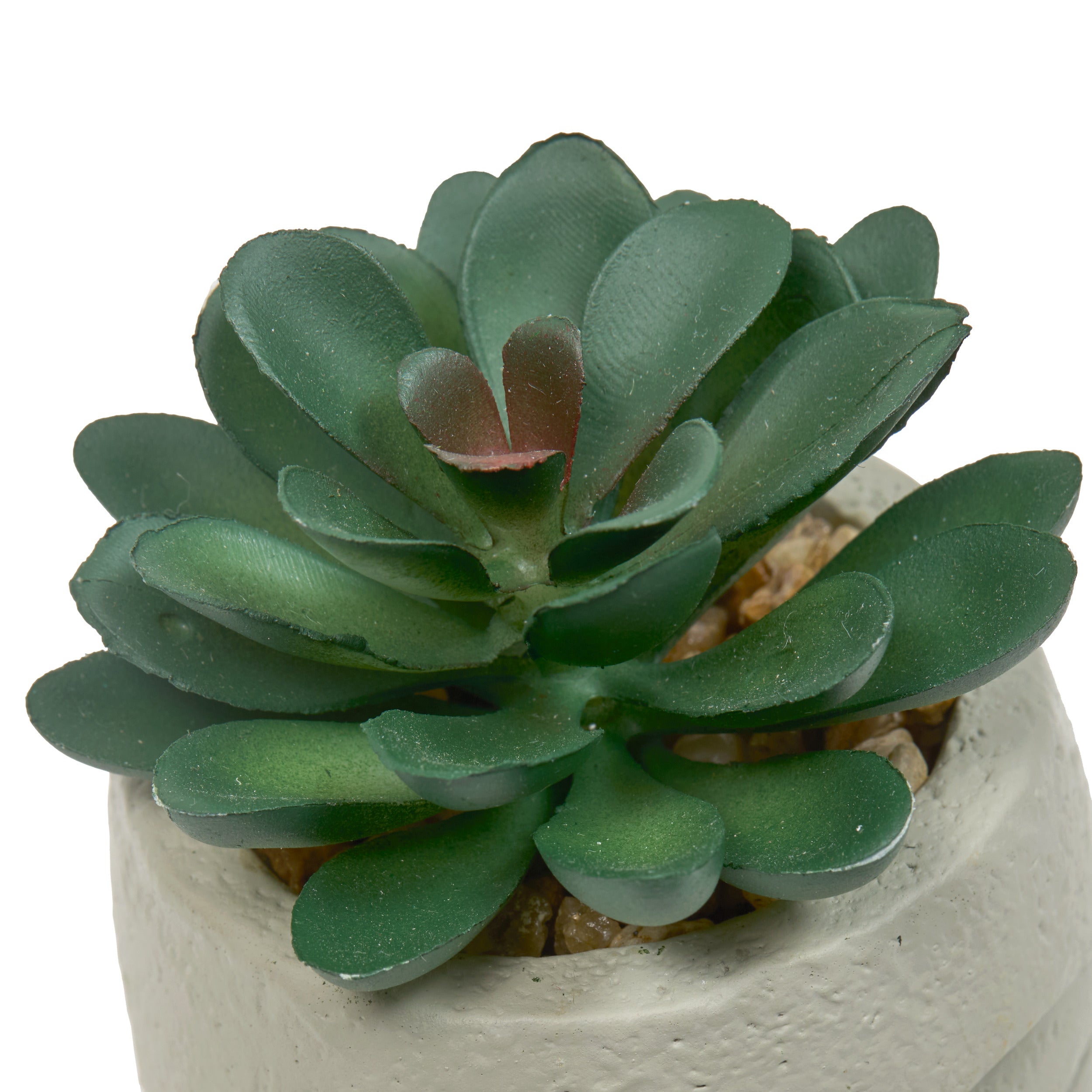 Floare decorativa, succulent face teri H13 cm - Atmosphera