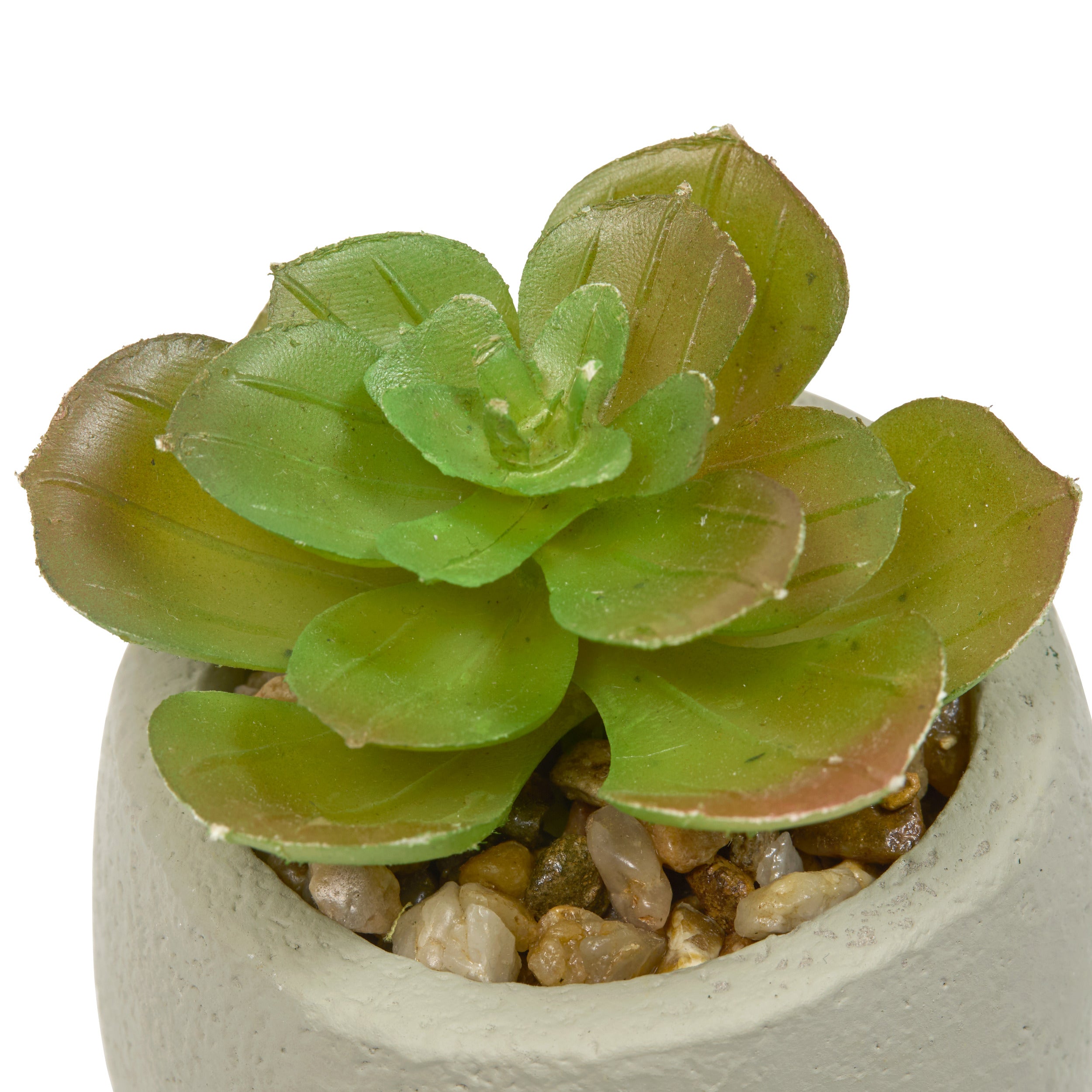 Floare decorativa, succulent face teri H13 cm - Atmosphera