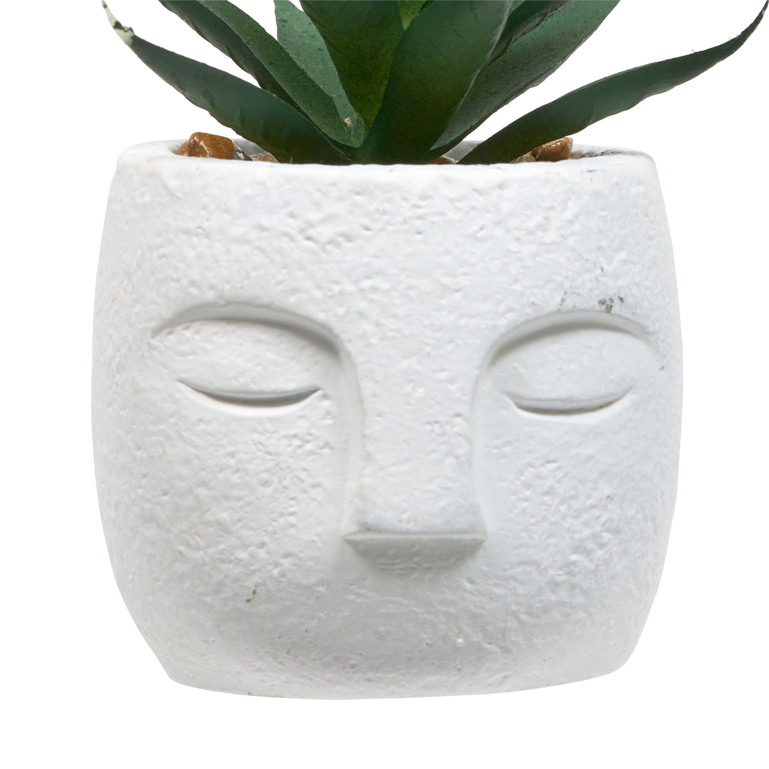 Floare decorativa, succulent face teri H13 cm - Atmosphera