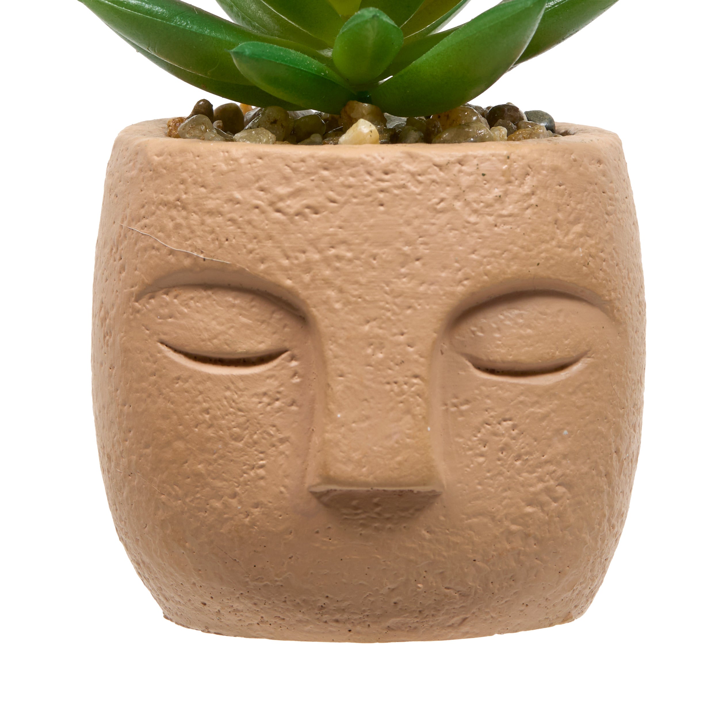 Floare decorativa, succulent face teri H13 cm - Atmosphera