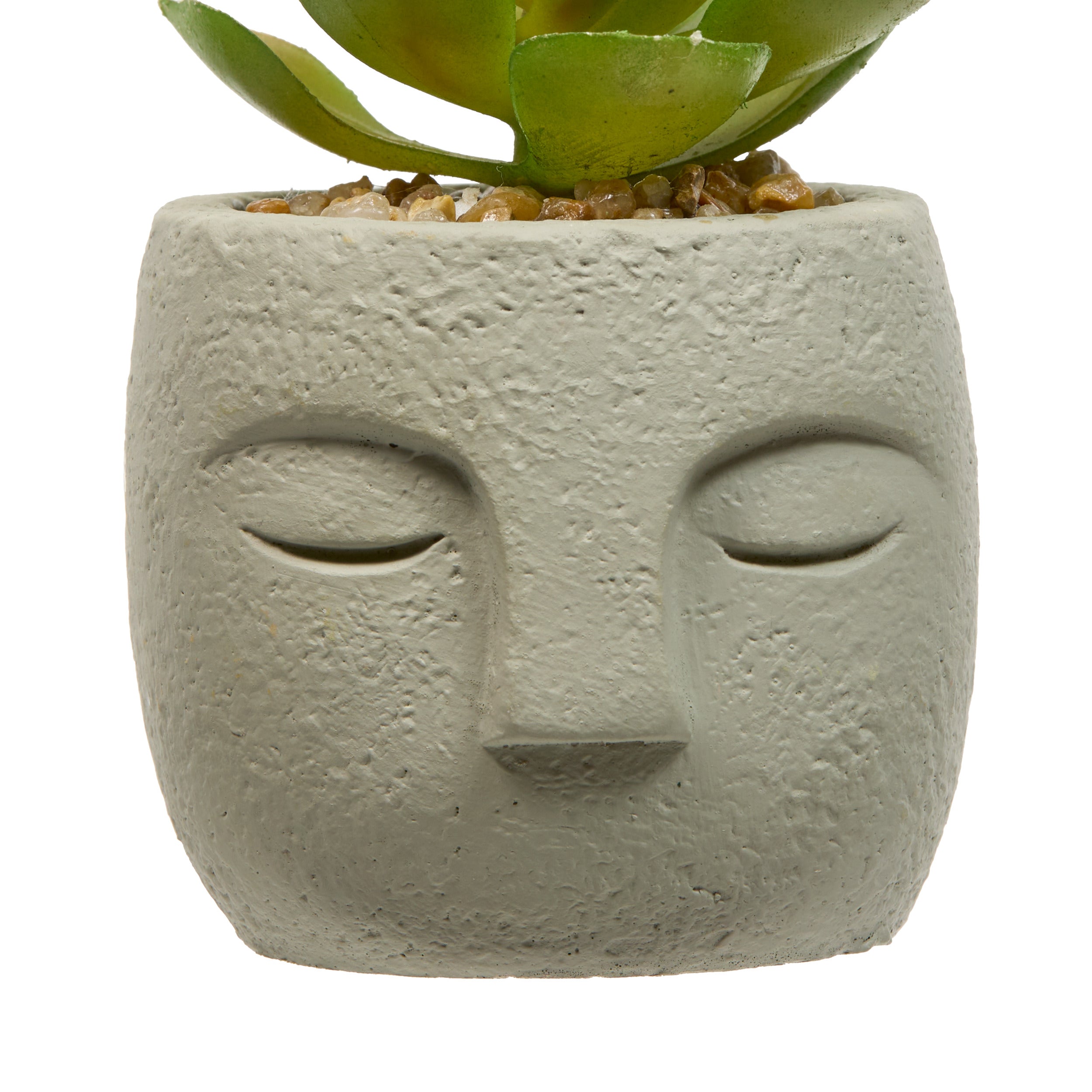 Floare decorativa, succulent face teri H13 cm - Atmosphera