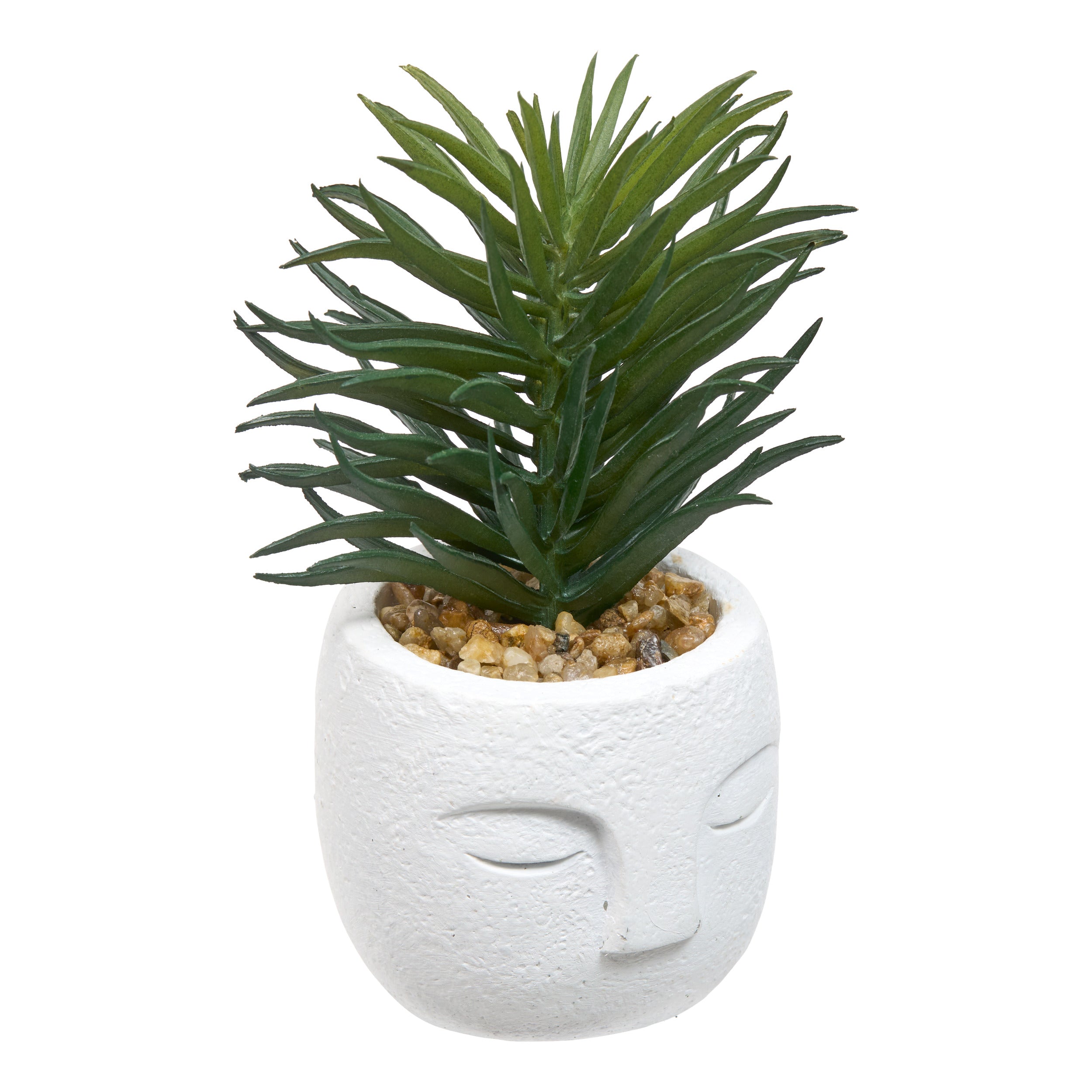Floare decorativa, succulent face teri H13 cm - Atmosphera
