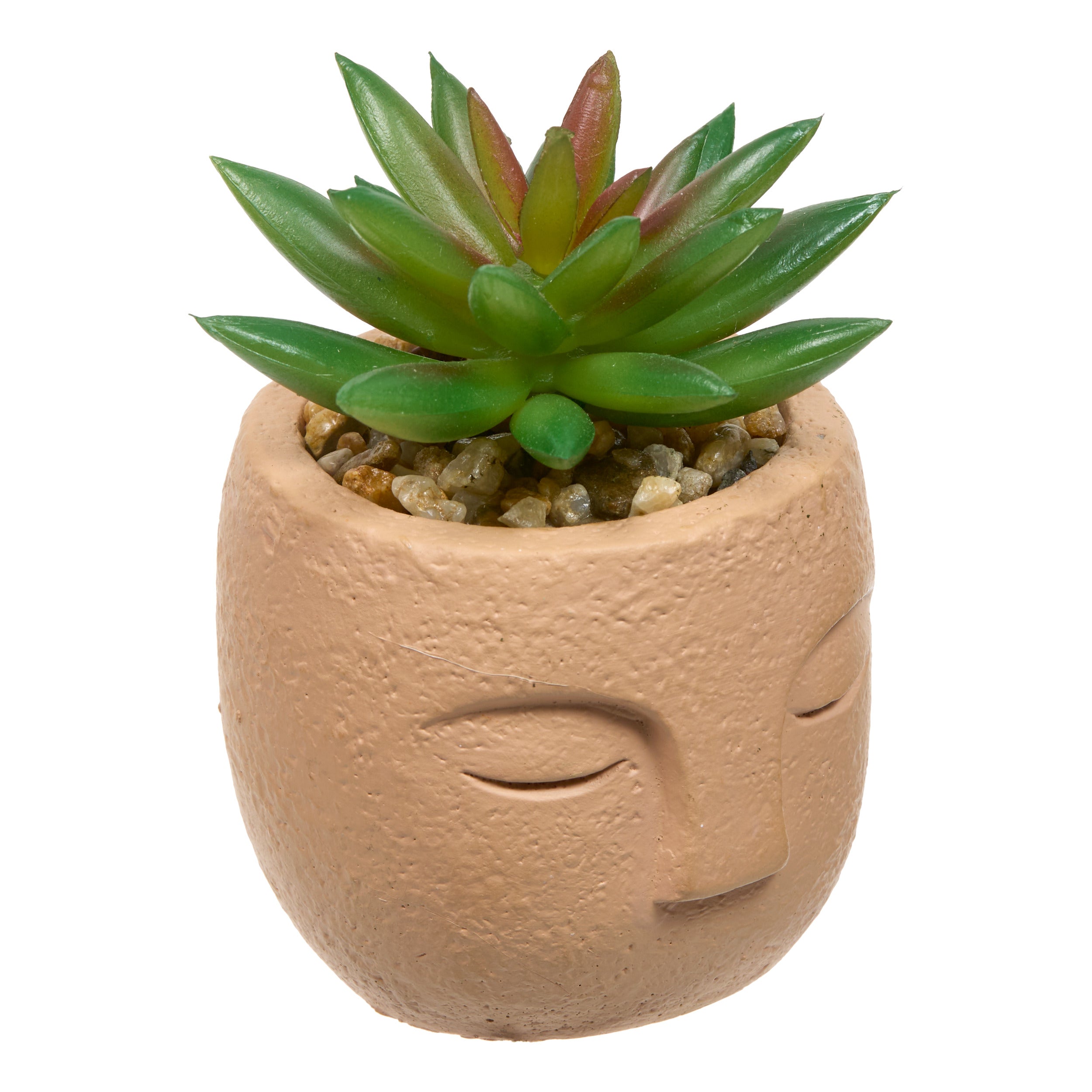 Floare decorativa, succulent face teri H13 cm - Atmosphera