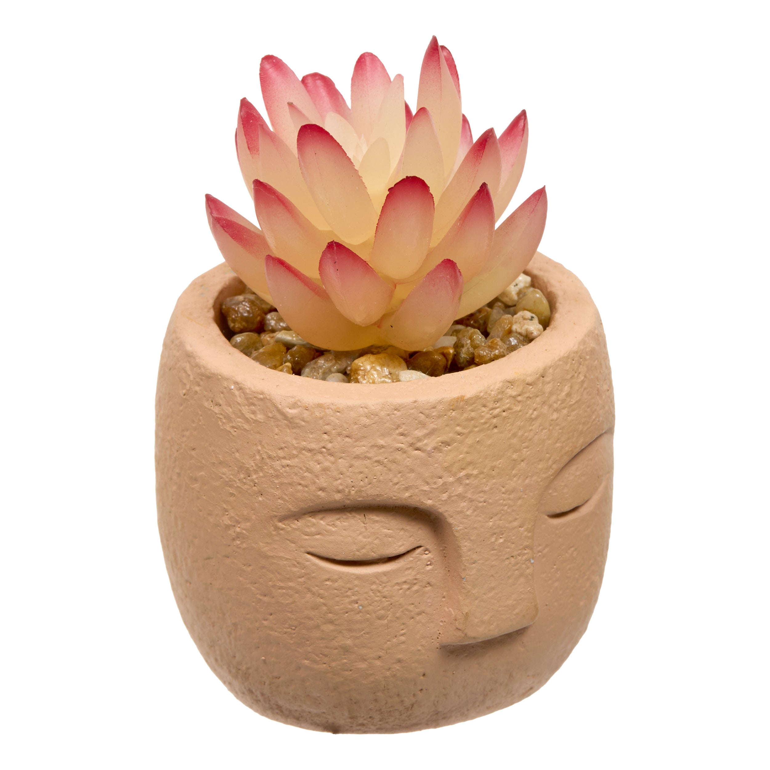 Floare decorativa, succulent face teri H13 cm - Atmosphera