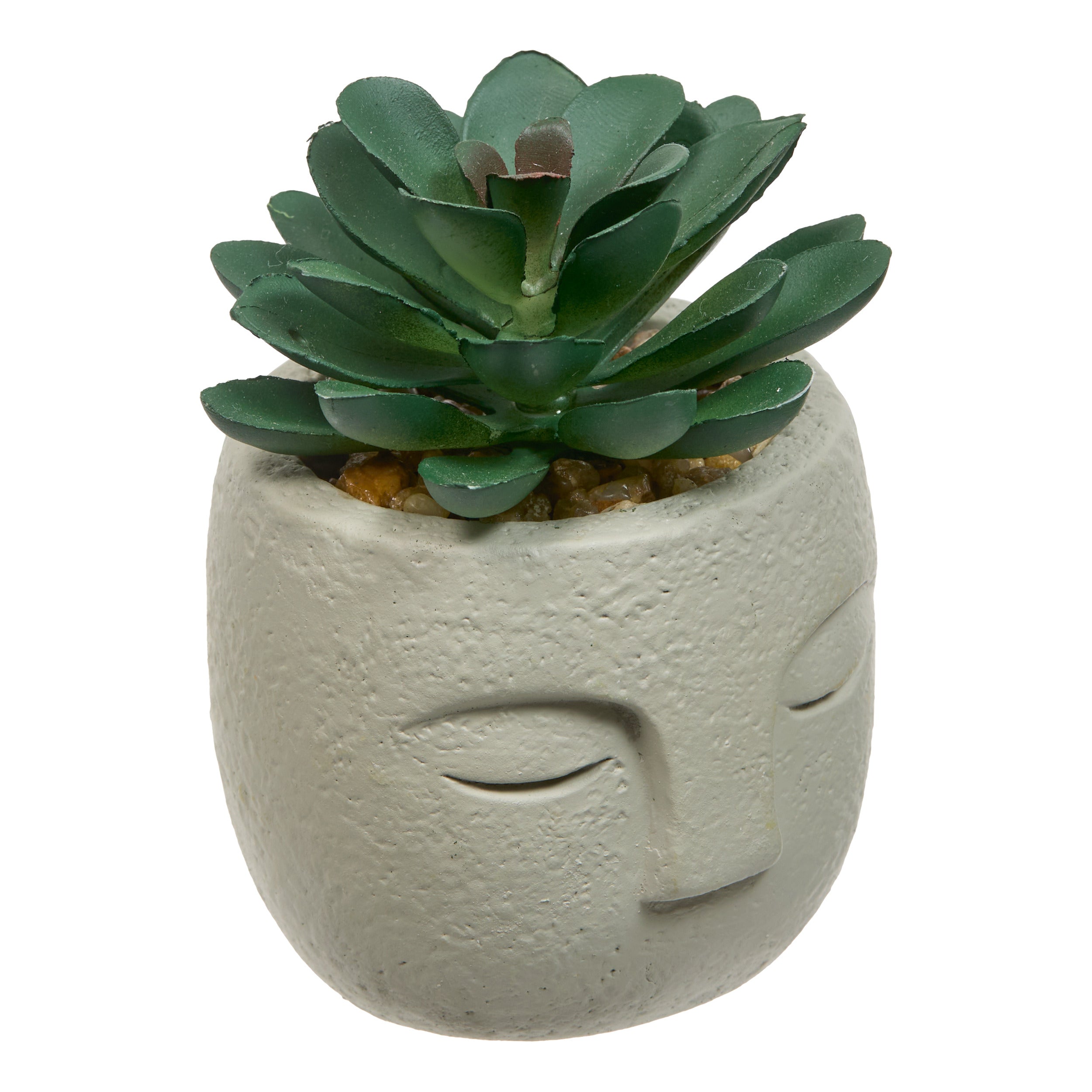 Floare decorativa, succulent face teri H13 cm - Atmosphera