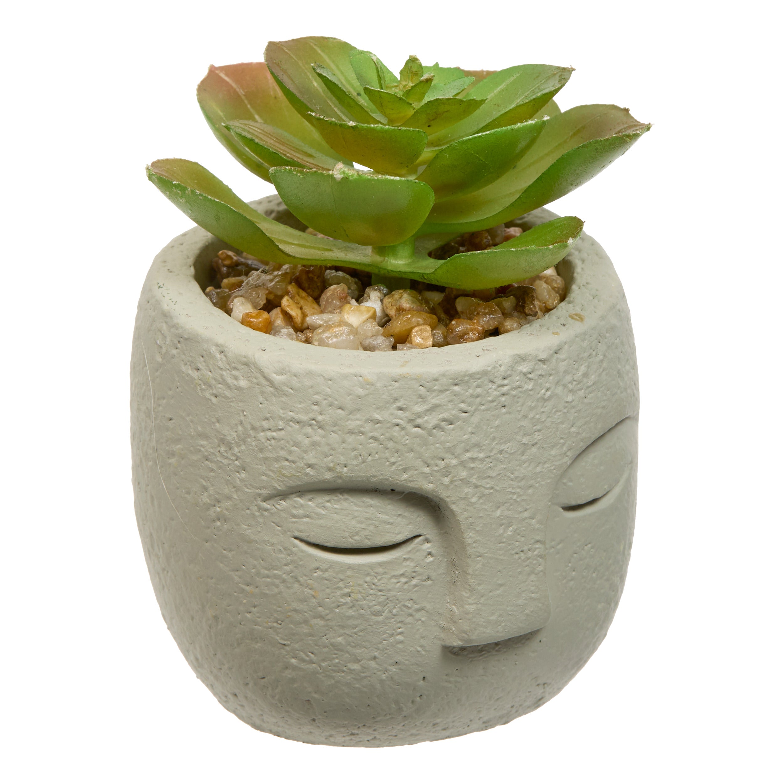 Floare decorativa, succulent face teri H13 cm - Atmosphera