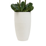 Orhidee Hotel inaltime 115 cm cu vaza ceramica alba Atmosphera