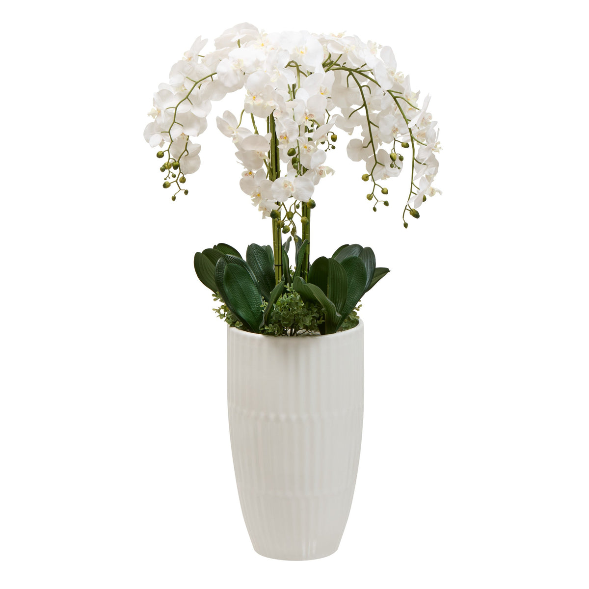 Orhidee Hotel inaltime 115 cm cu vaza ceramica alba Atmosphera