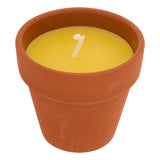Lumanare parfumata "Terry" - Parfum fructat, Lamaita, 40 g - Atmosphera