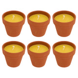 Lumanare parfumata "Terry" - Parfum fructat, Lamaita, 40 g - Atmosphera