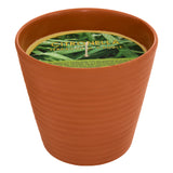 Lumanare parfumata "Terry" - Parfum fructat, Lamaita, 200 g - Atmosphera
