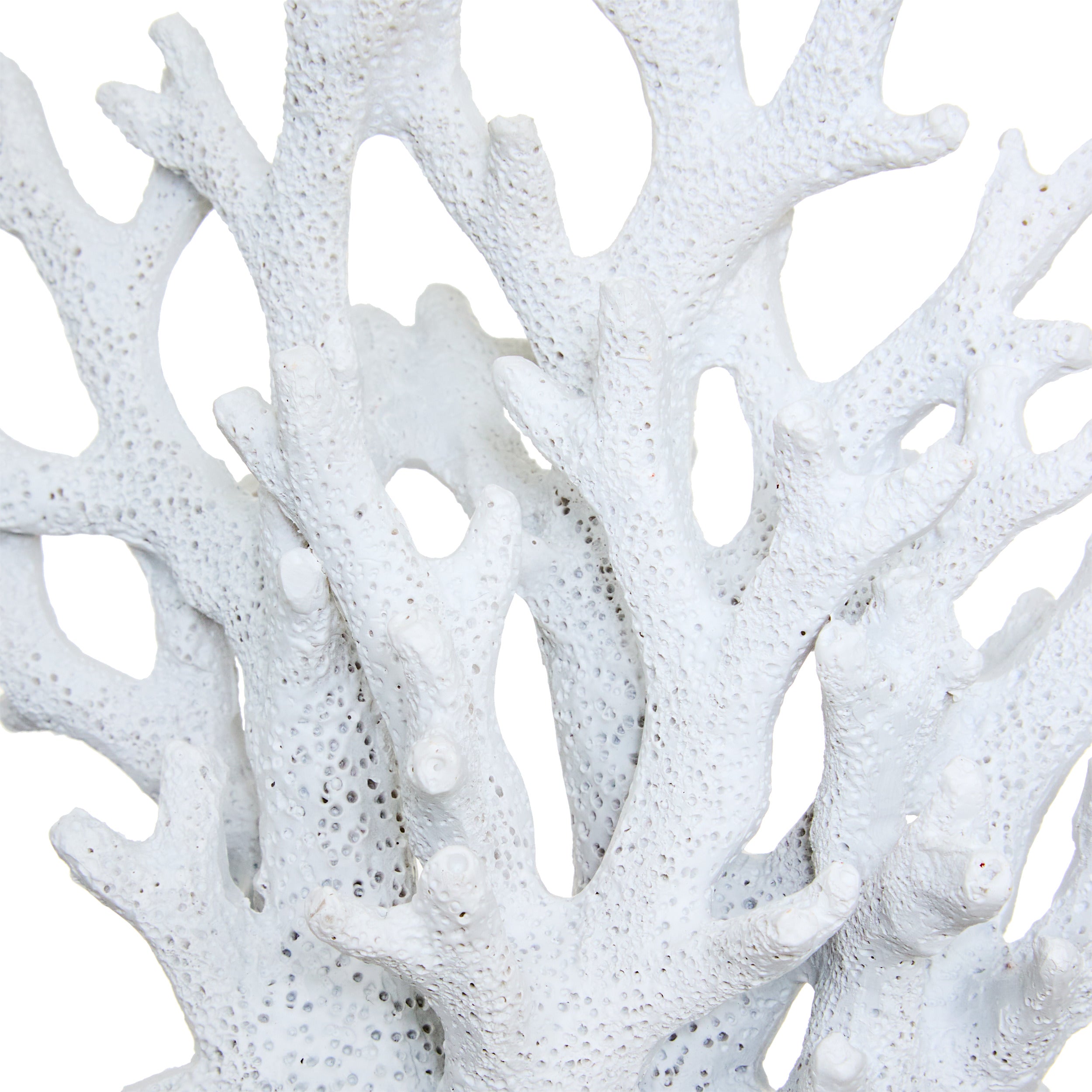 Deco coral rasina ocea H17 cm - Atmosphera