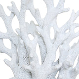 Deco coral rasina ocea H17 cm - Atmosphera