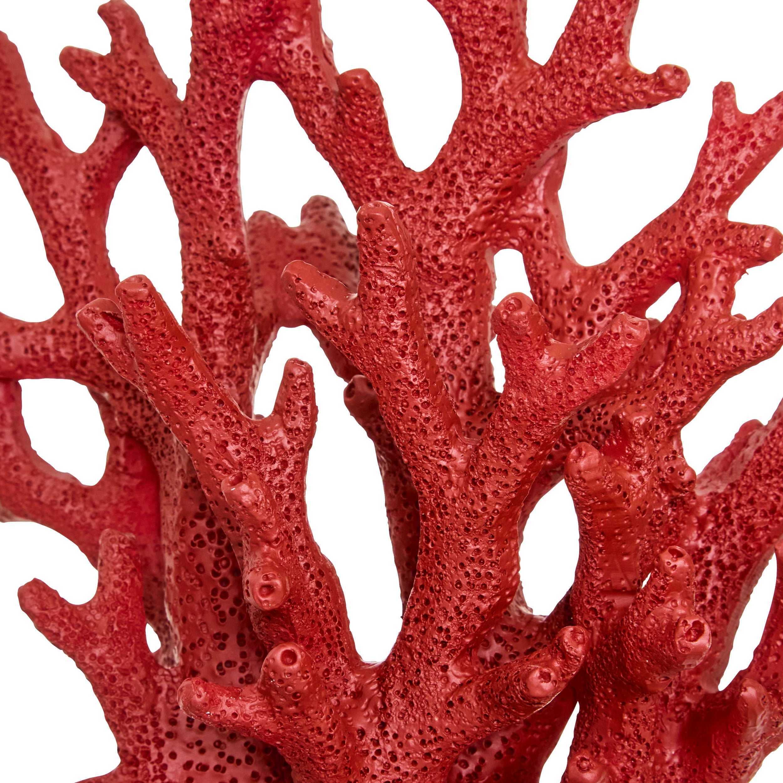 Deco coral rasina ocea H17 cm - Atmosphera