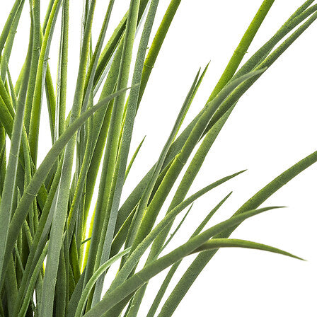 Planta artificiala iarba decorativa in ghiveci impletit, H 48,5 cm