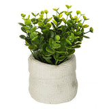 Planta artificiala mica in ghiveci din beton, modele asortate, H 14 cm
