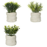Planta artificiala mica in ghiveci din beton, modele asortate, H 14 cm